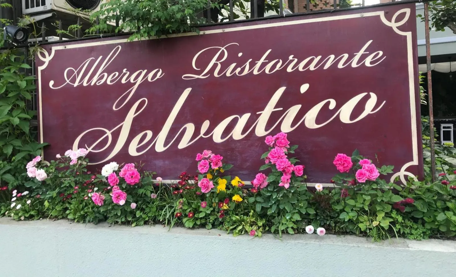Logo/Certificate/Sign in Albergo & Ristorante Selvatico