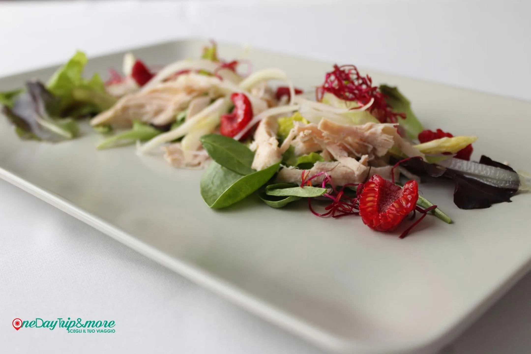 Albergo & Ristorante Selvatico