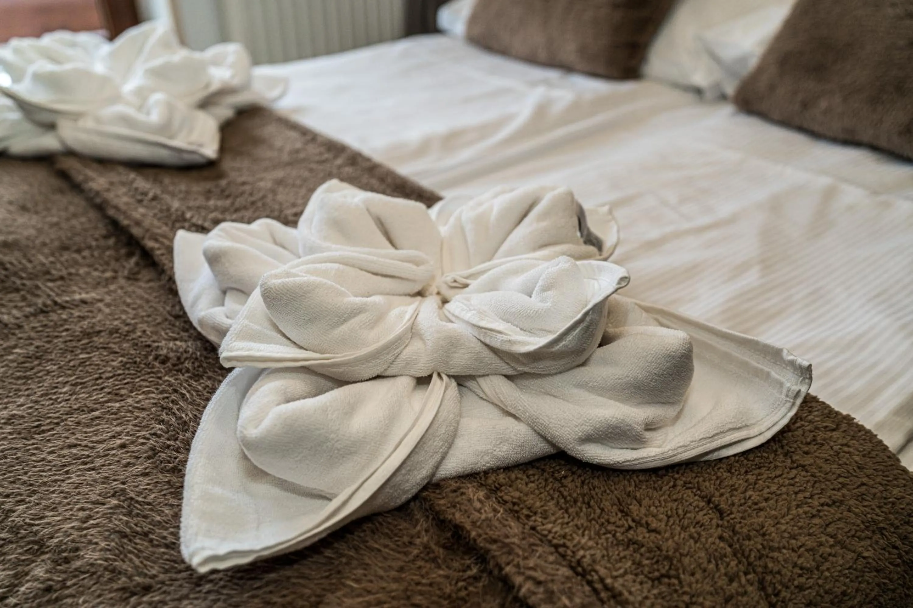 Bed in Willa Baciarka-basen, sauny i jacuzzi