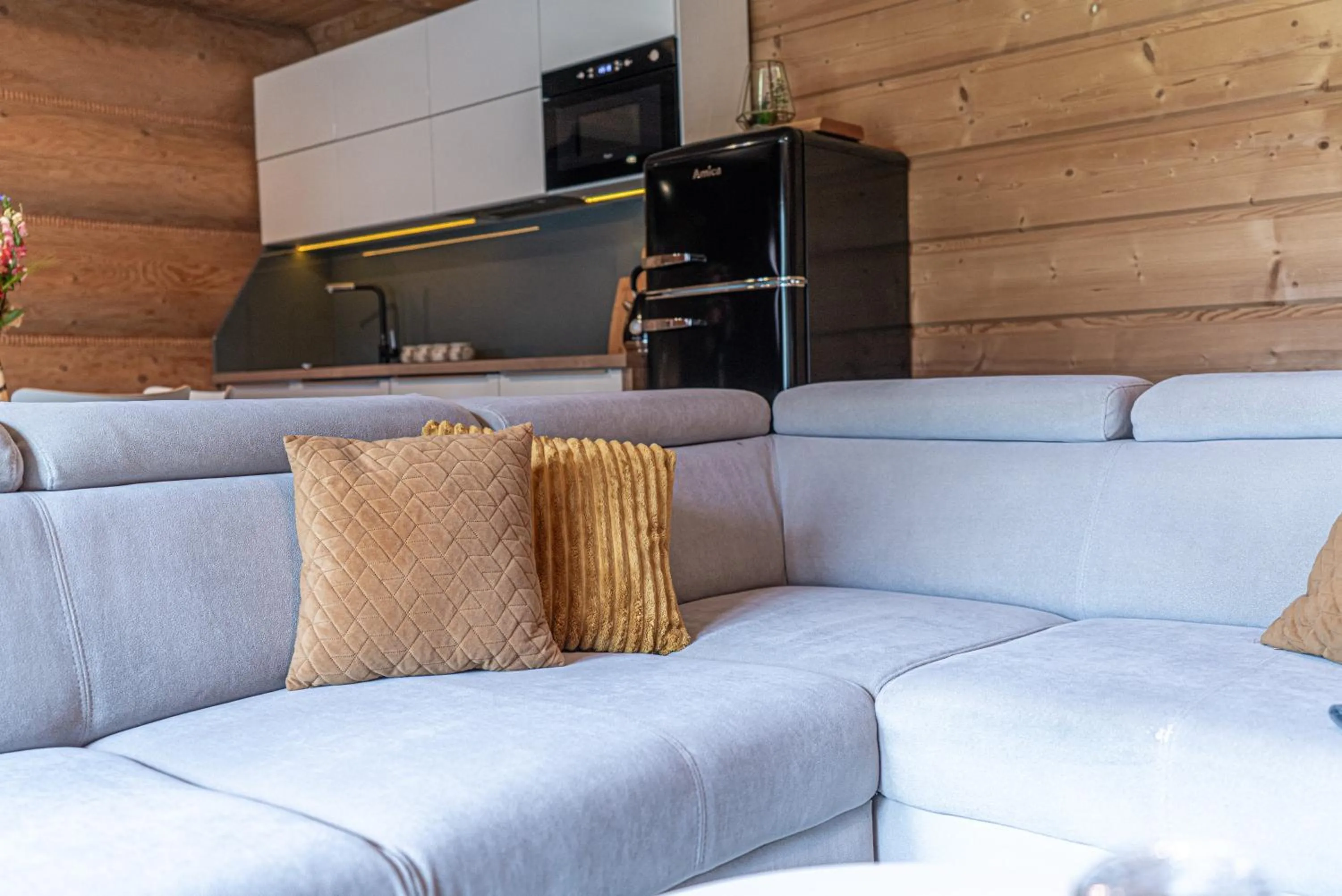 TV and multimedia in Willa Baciarka-basen, sauny i jacuzzi