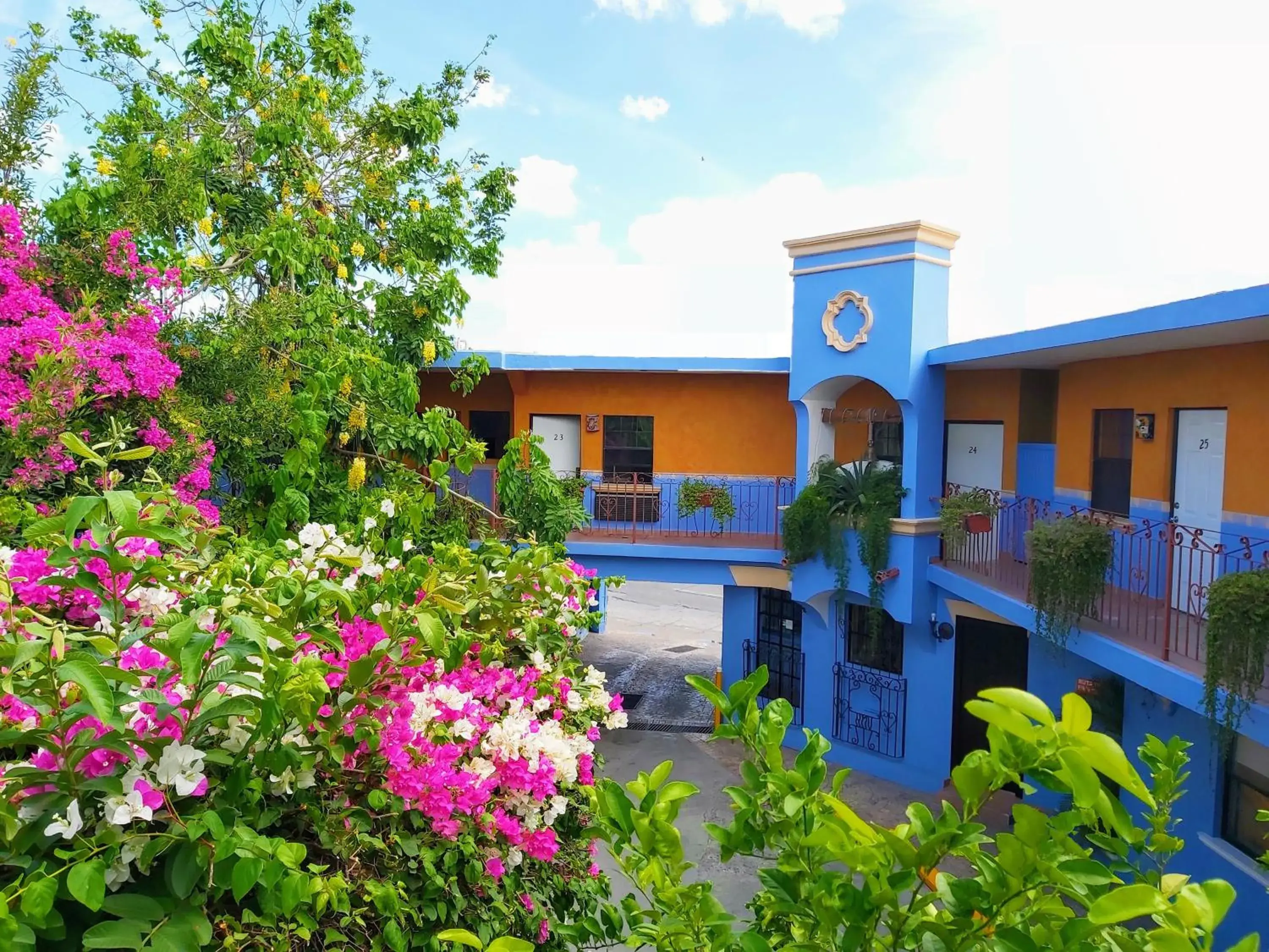 Hotel Hacienda del Viejo Hotel Hacienda del Viejo