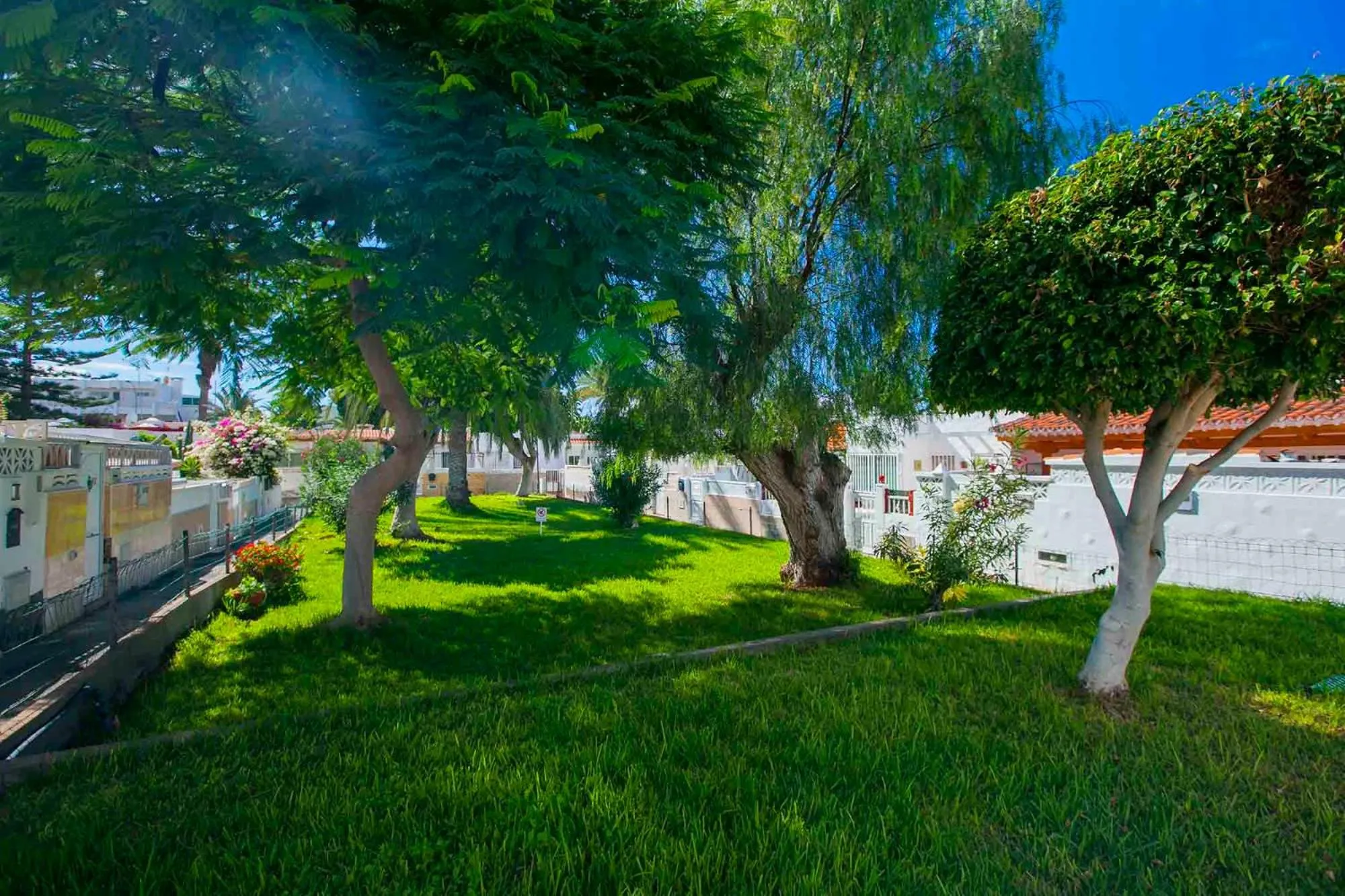 Natural landscape in Cozy apartment in Costa del Silencio