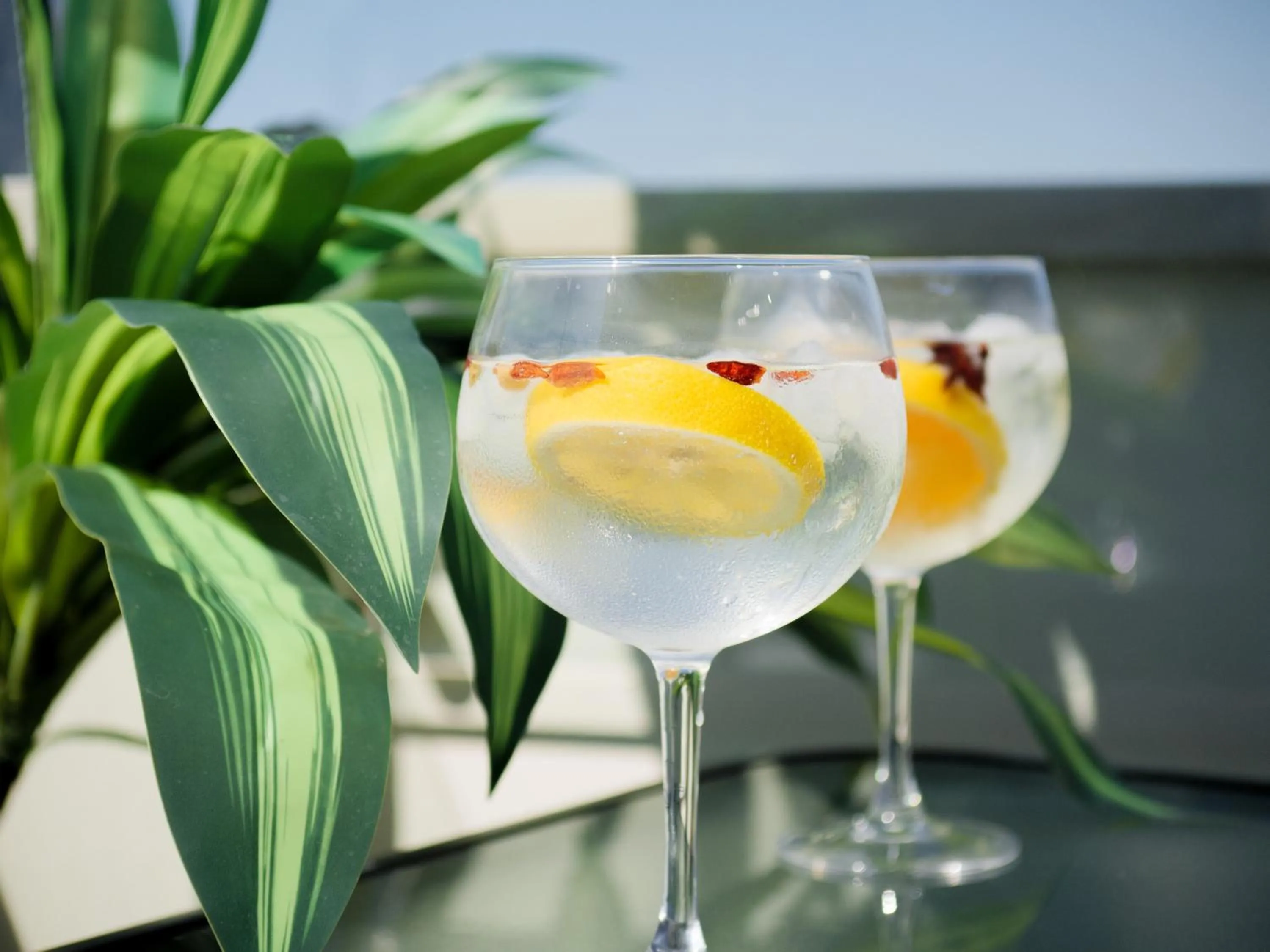 Balcony/Terrace in Hotel DAH - Dom Afonso Henriques