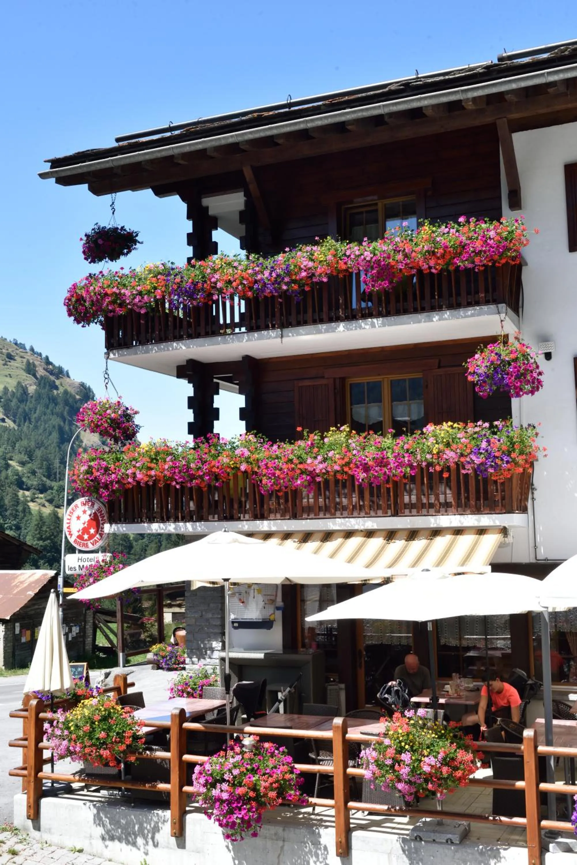 Facade/entrance in Hotel Les Mélèzes