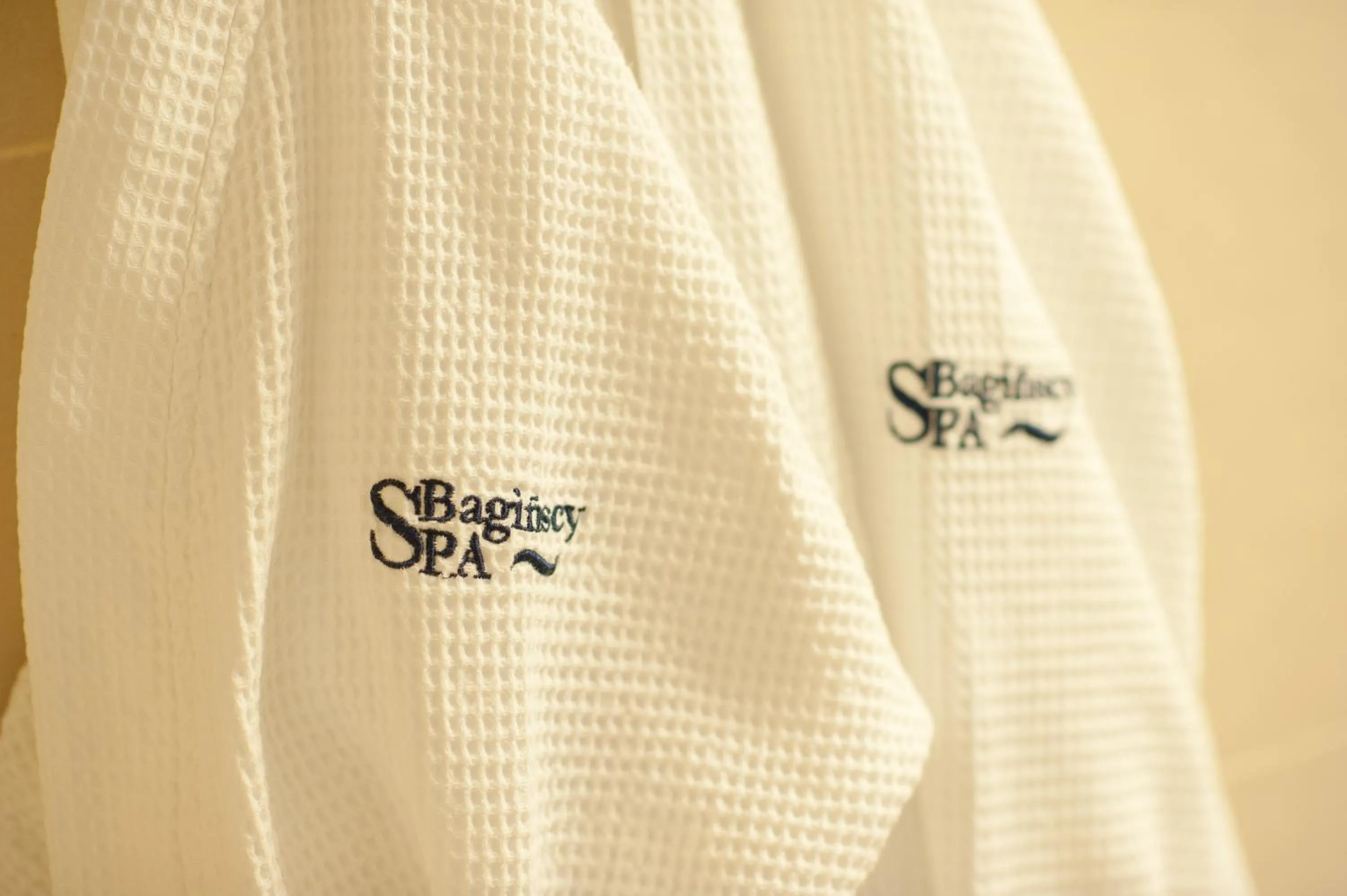 Logo/Certificate/Sign in Bagińscy Spa