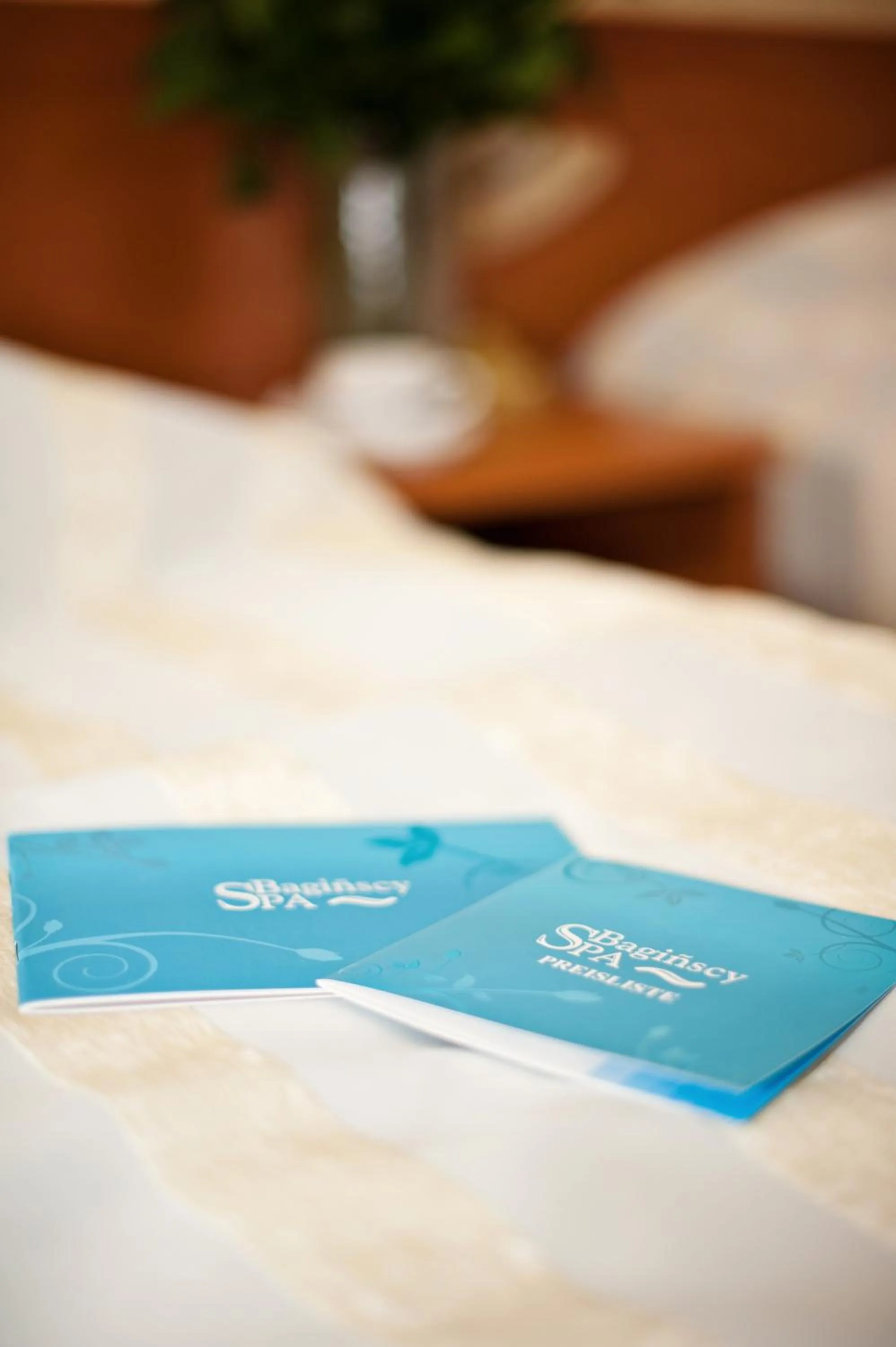 Other, Bed in Bagińscy Spa