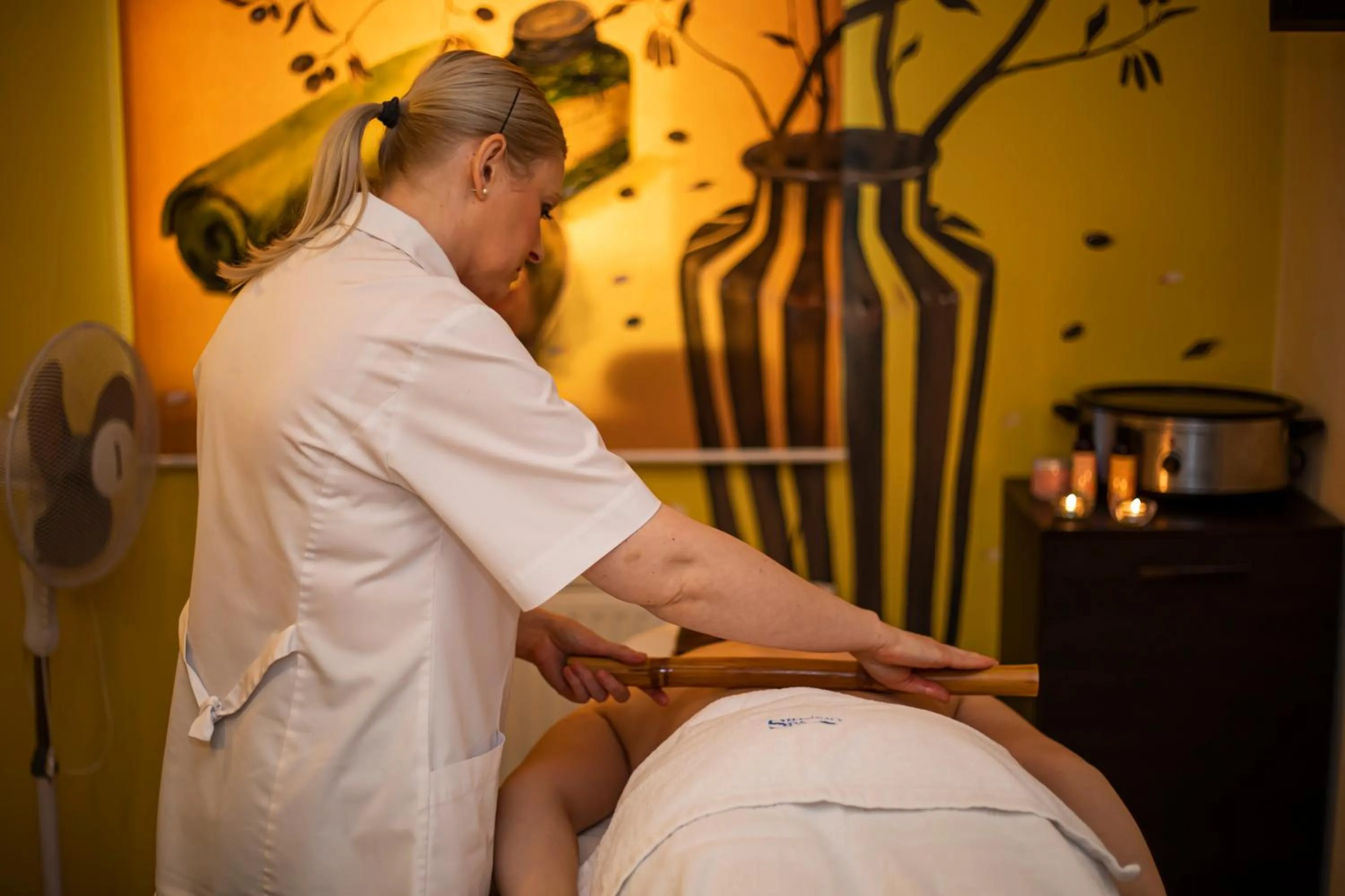 Massage in Bagińscy Spa