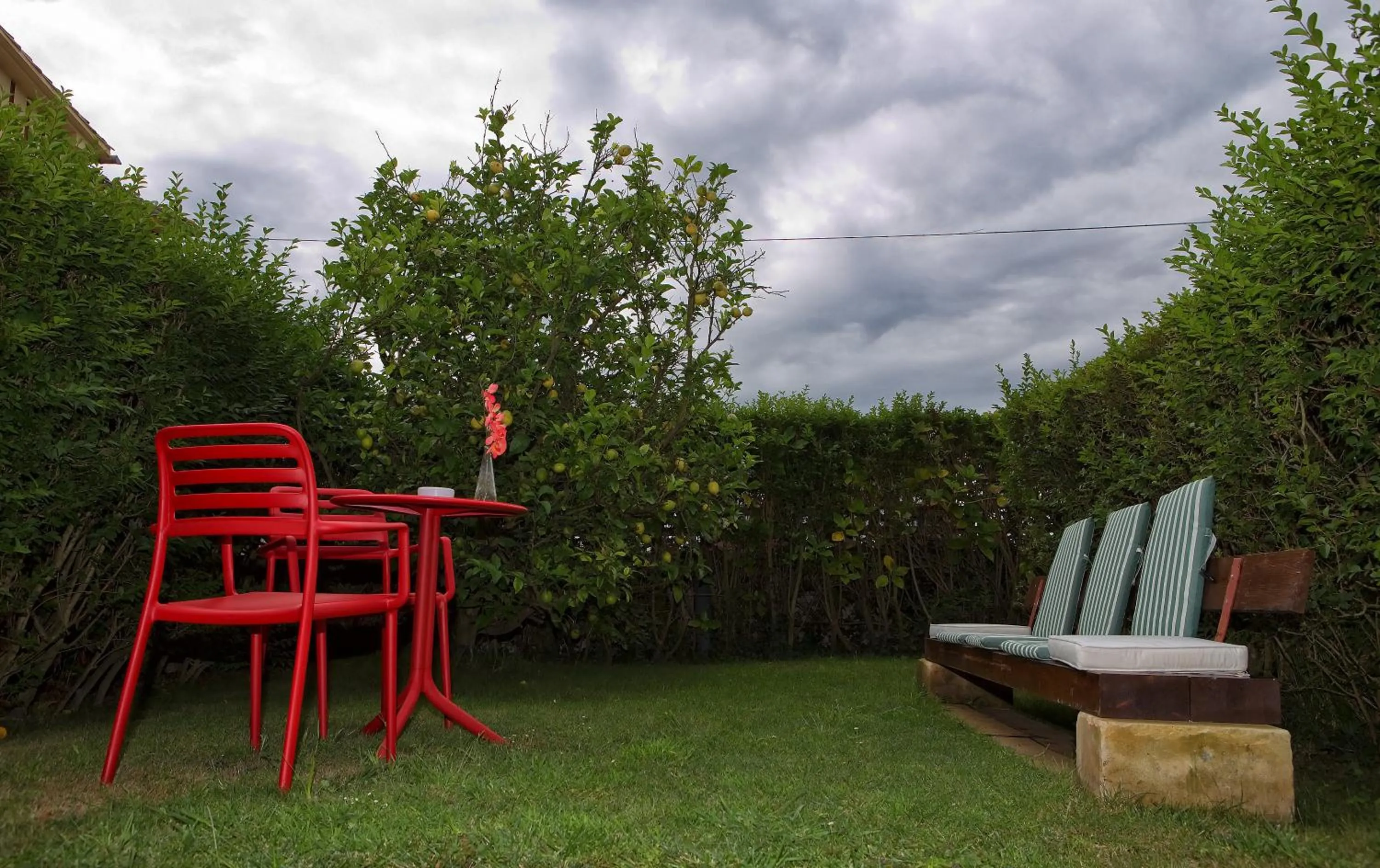 Garden in Quintana 23