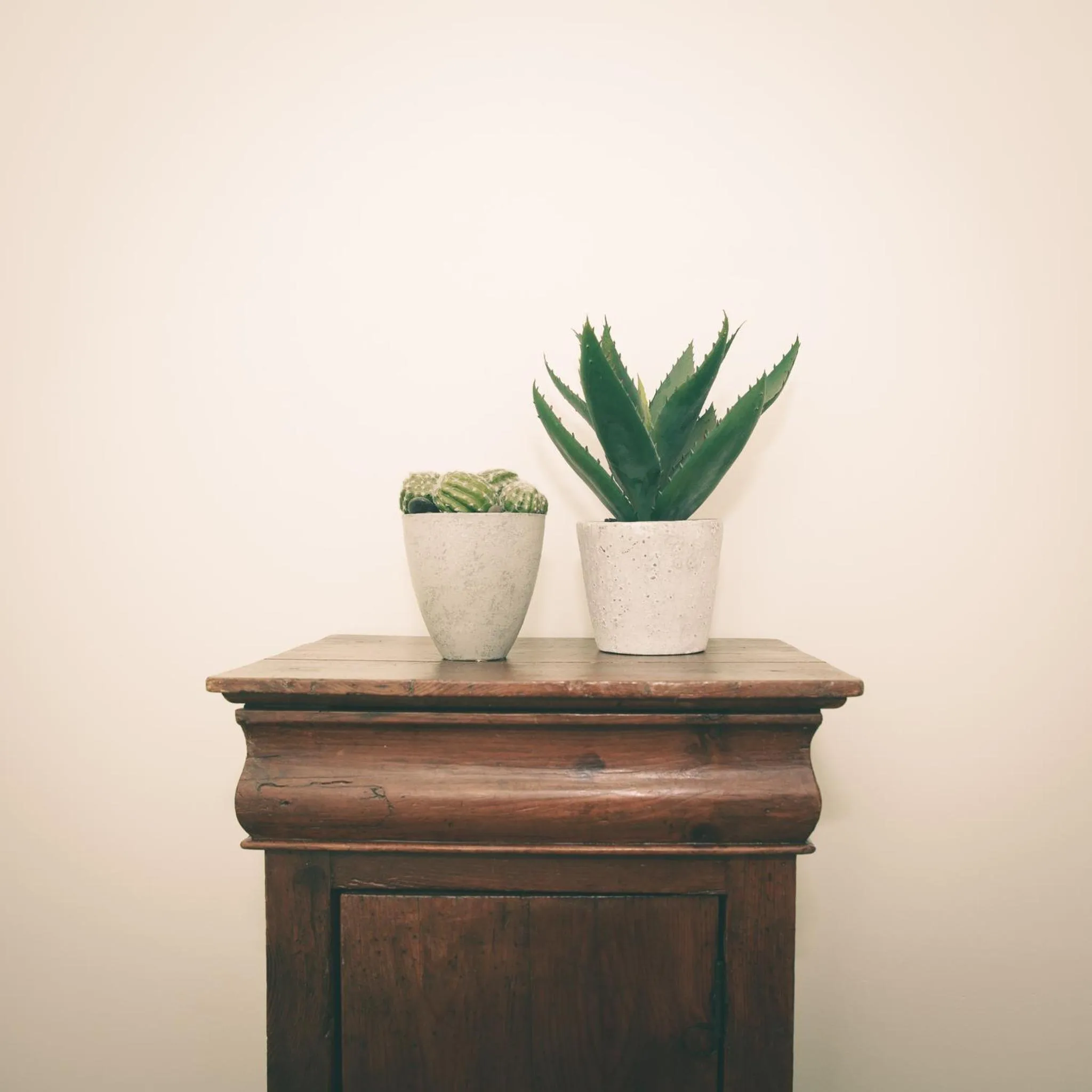 Decorative detail in Al Foro Annonario