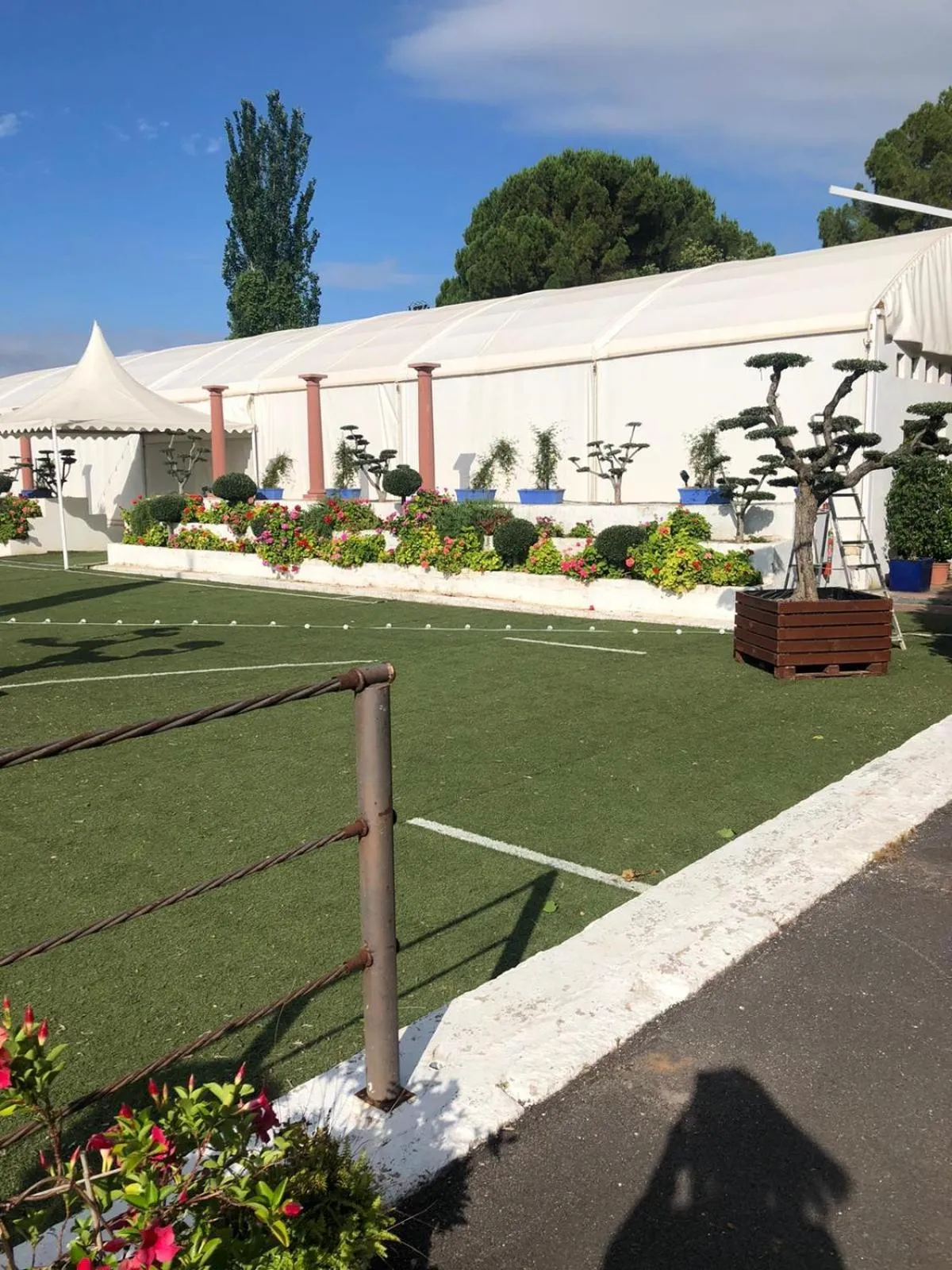 Garden in Hotel Don Gonzalo