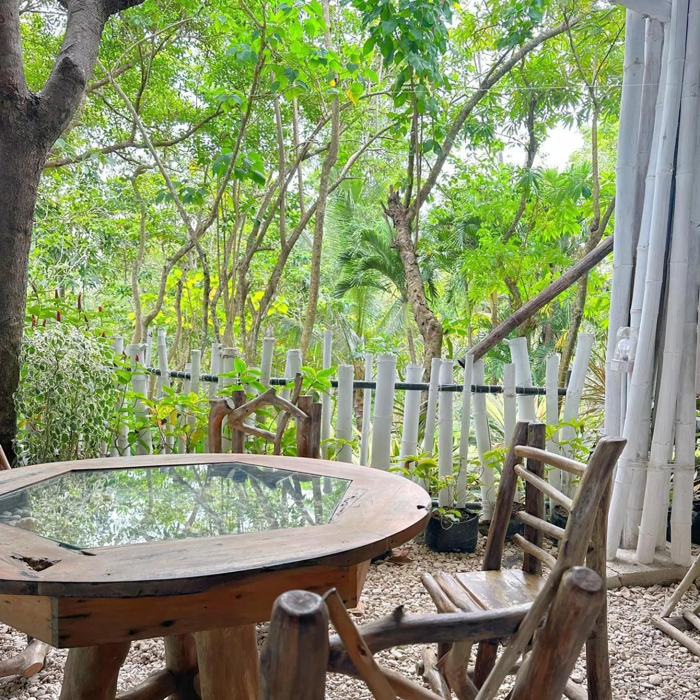 Restaurant/places to eat in Nature's Eye Resort