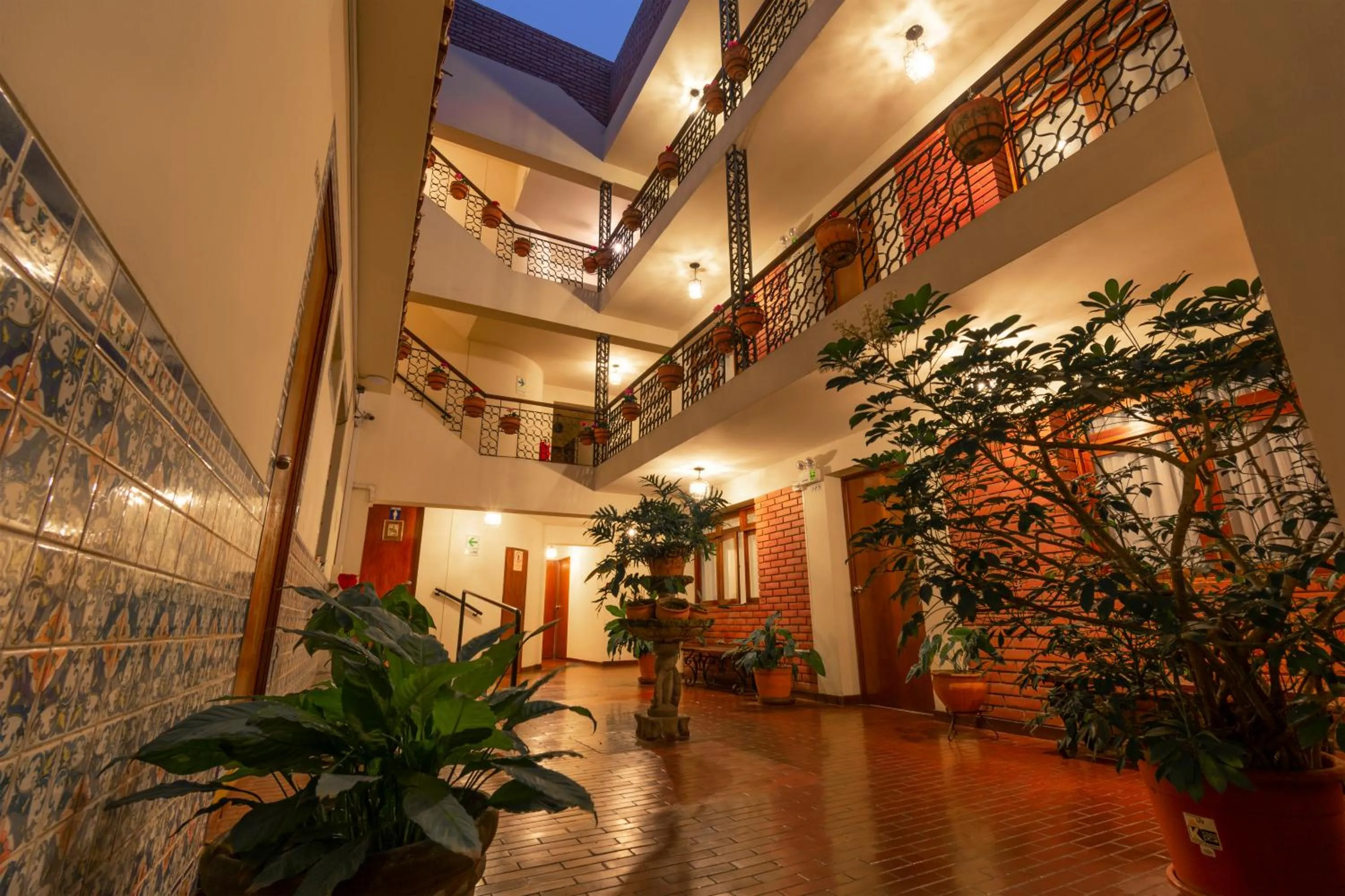 Area and facilities in Hotel San Isidro Inn