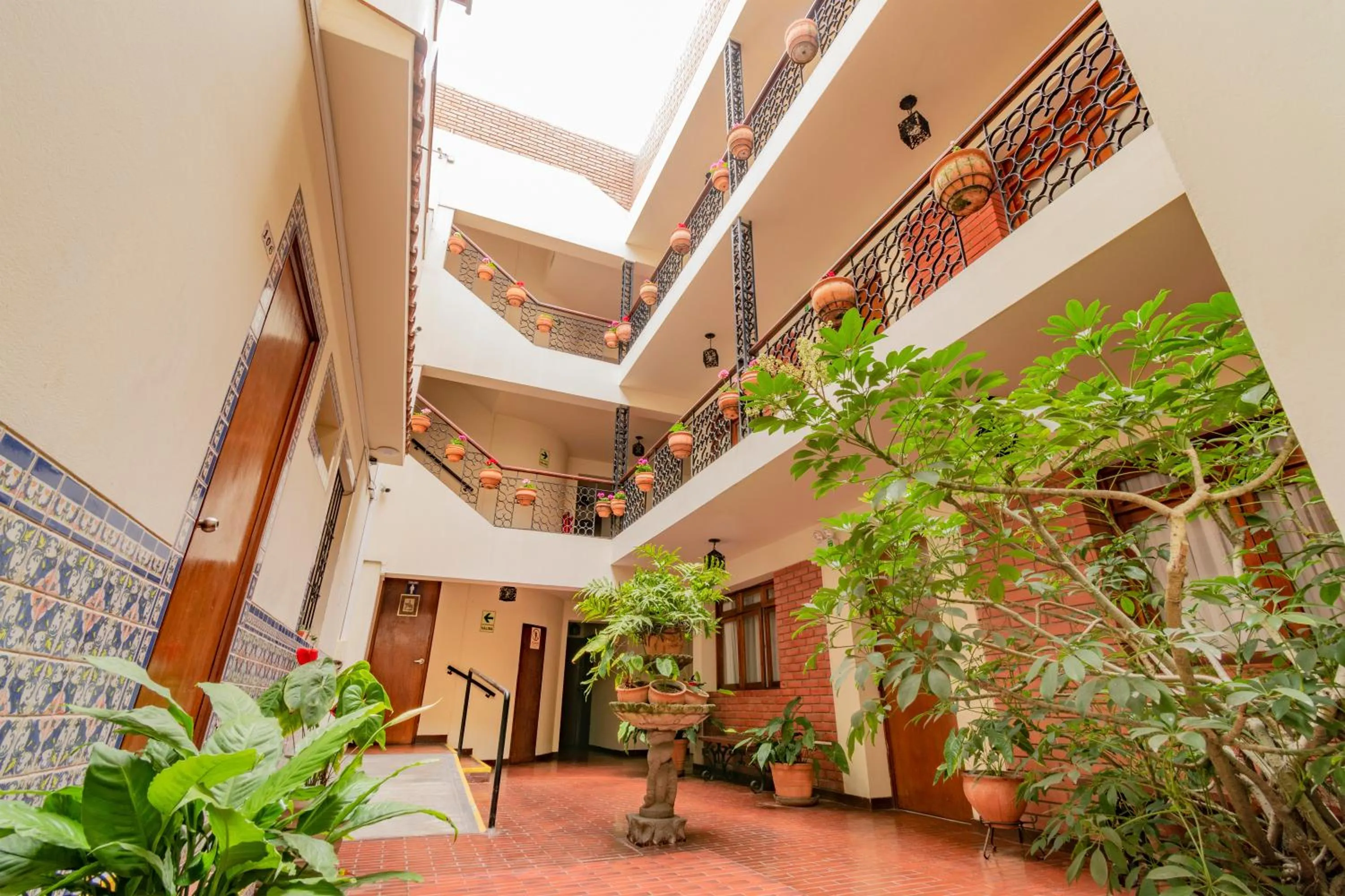 Area and facilities in Hotel San Isidro Inn