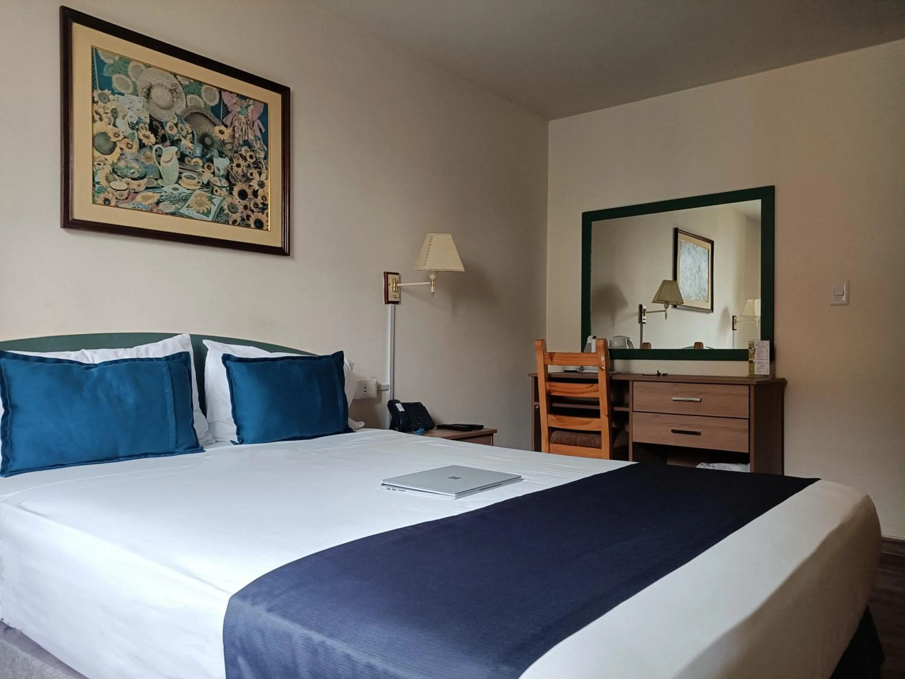 Standard Double Room in Hotel San Isidro Inn