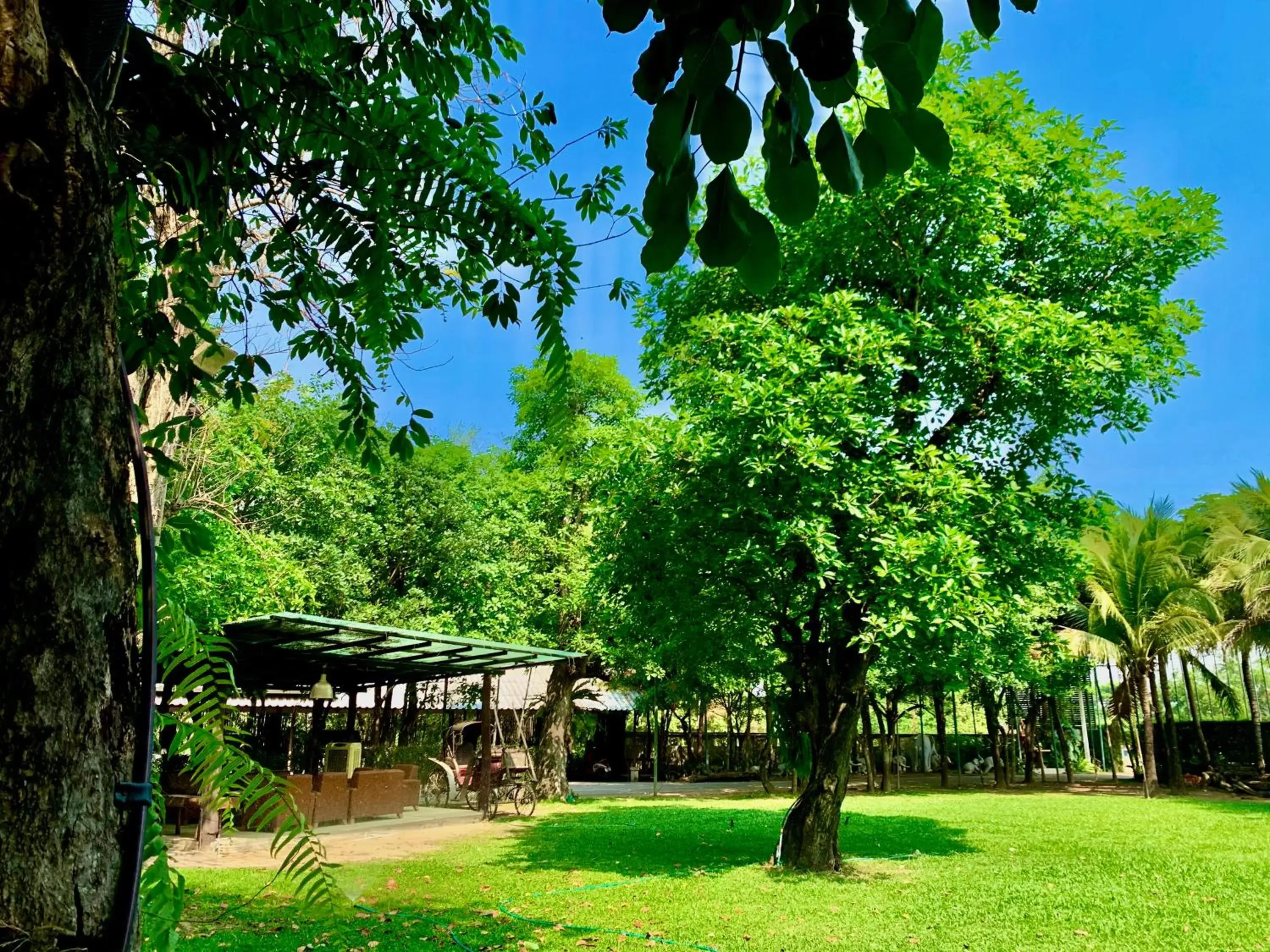 Garden view in Rommai Greenpark Garden view in Rommai Greenpark