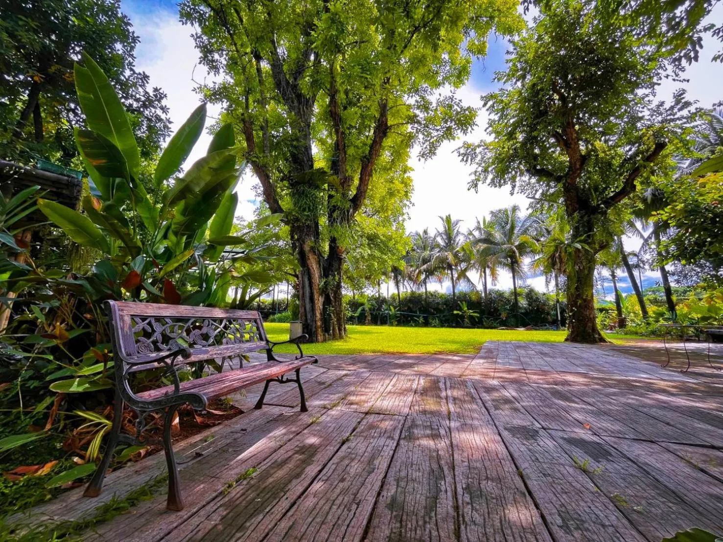 Garden view in Rommai Greenpark