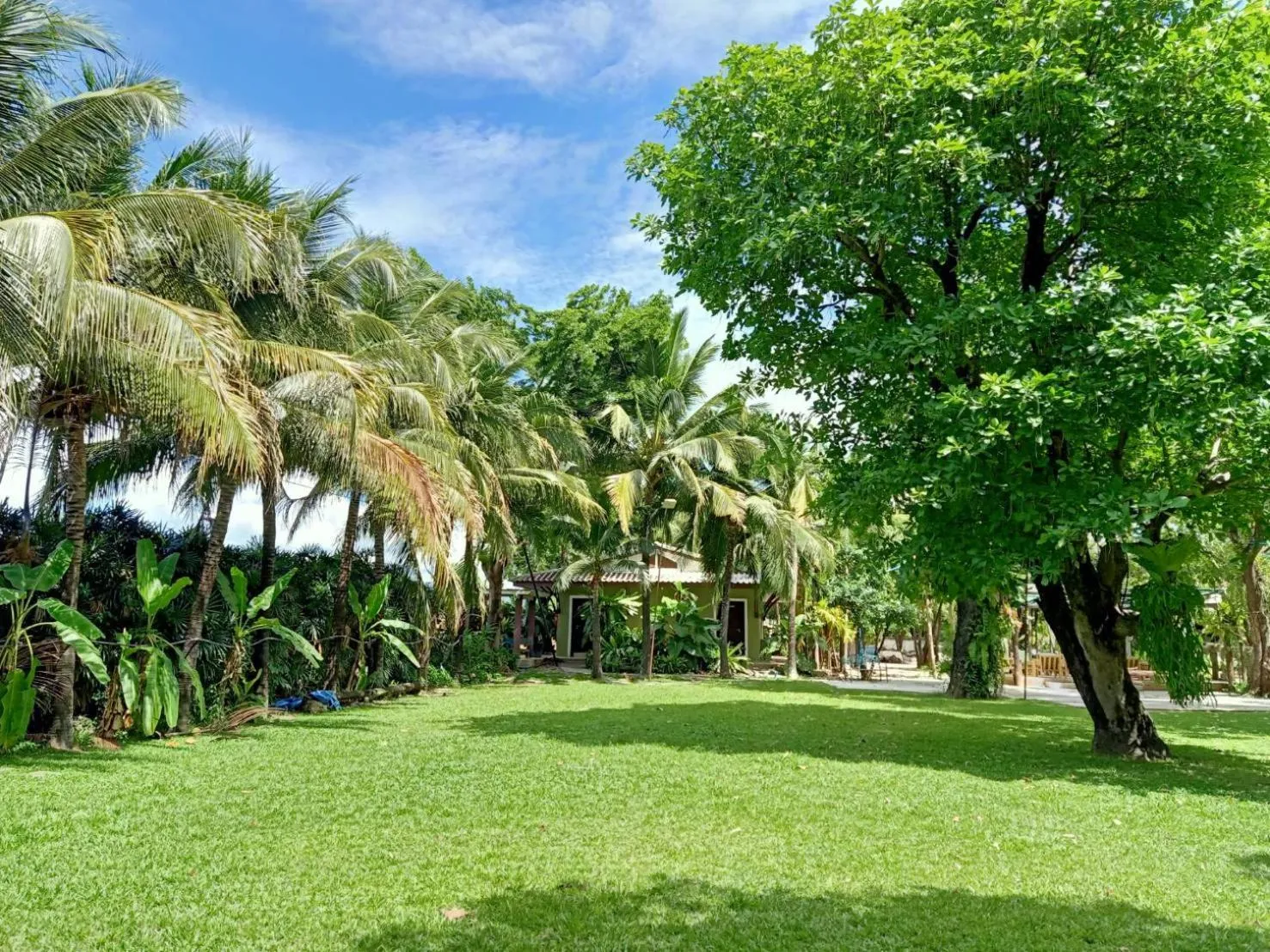 Garden in Rommai Greenpark