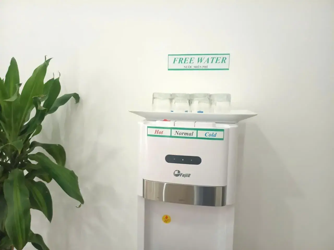 Restaurant/places to eat in catba island hotel Restaurant/places to eat in catba island hotel