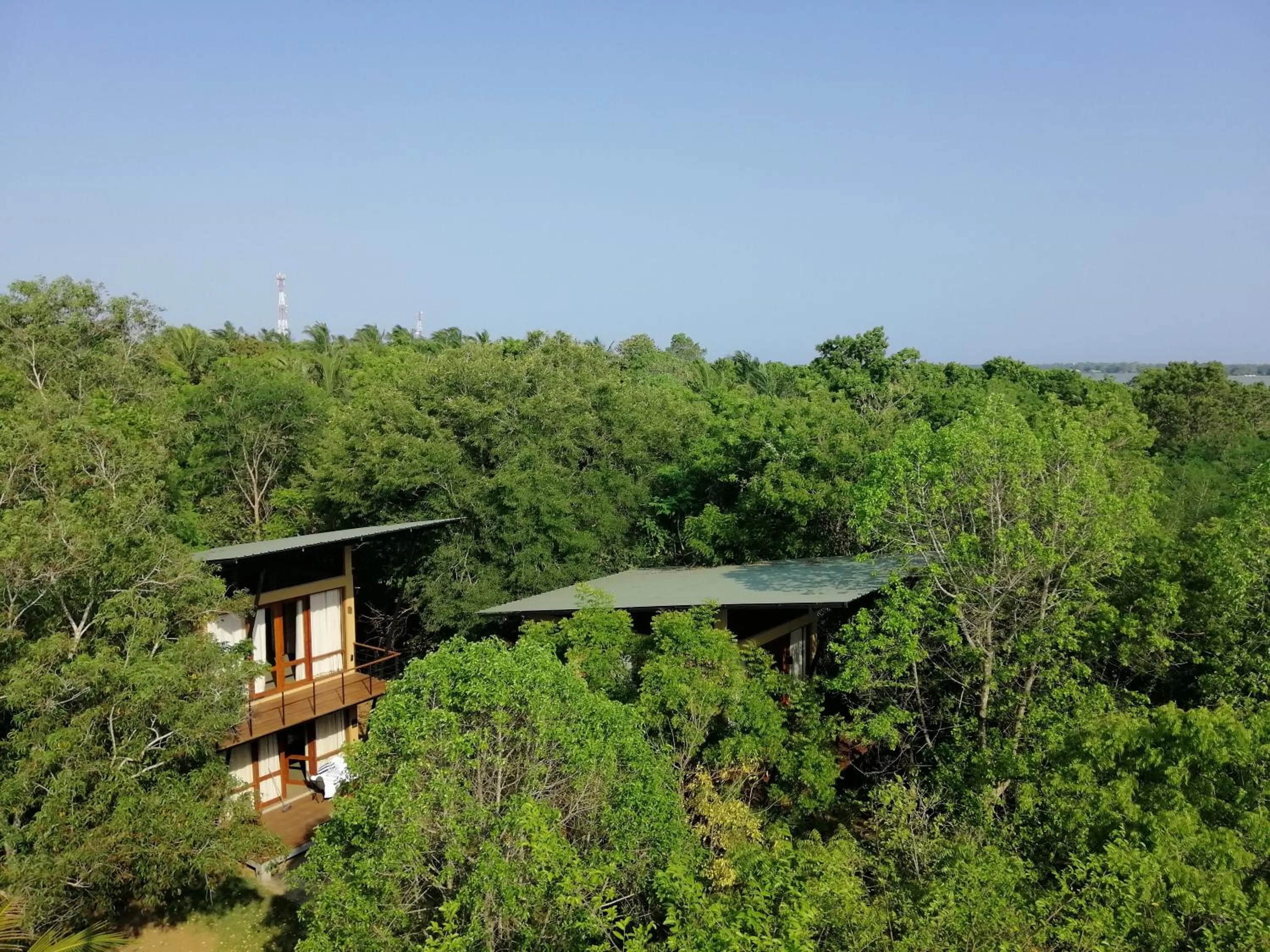 Natural landscape in Breezy Lake
