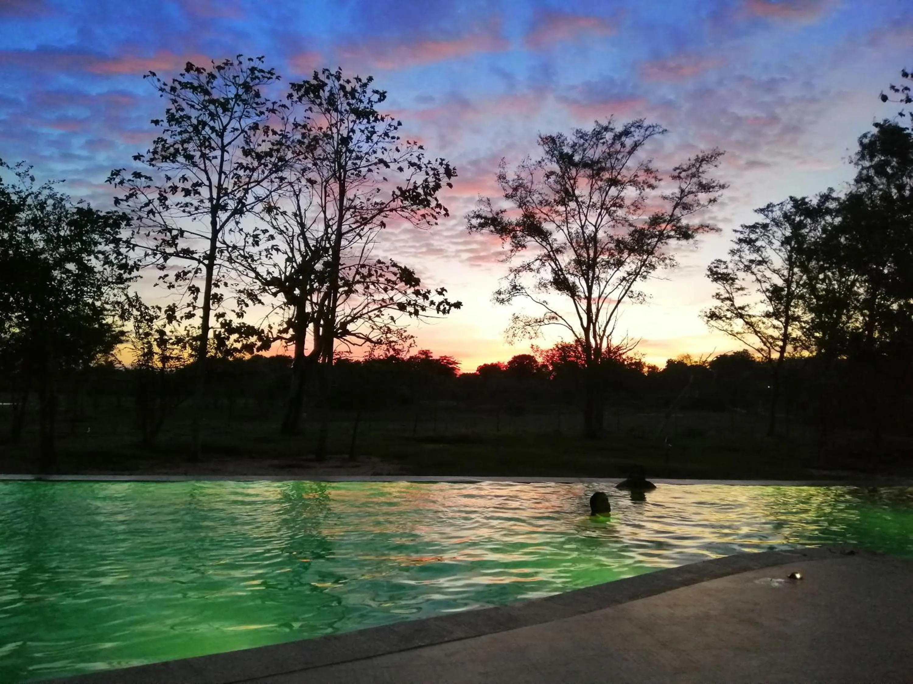 Natural landscape in Breezy Lake