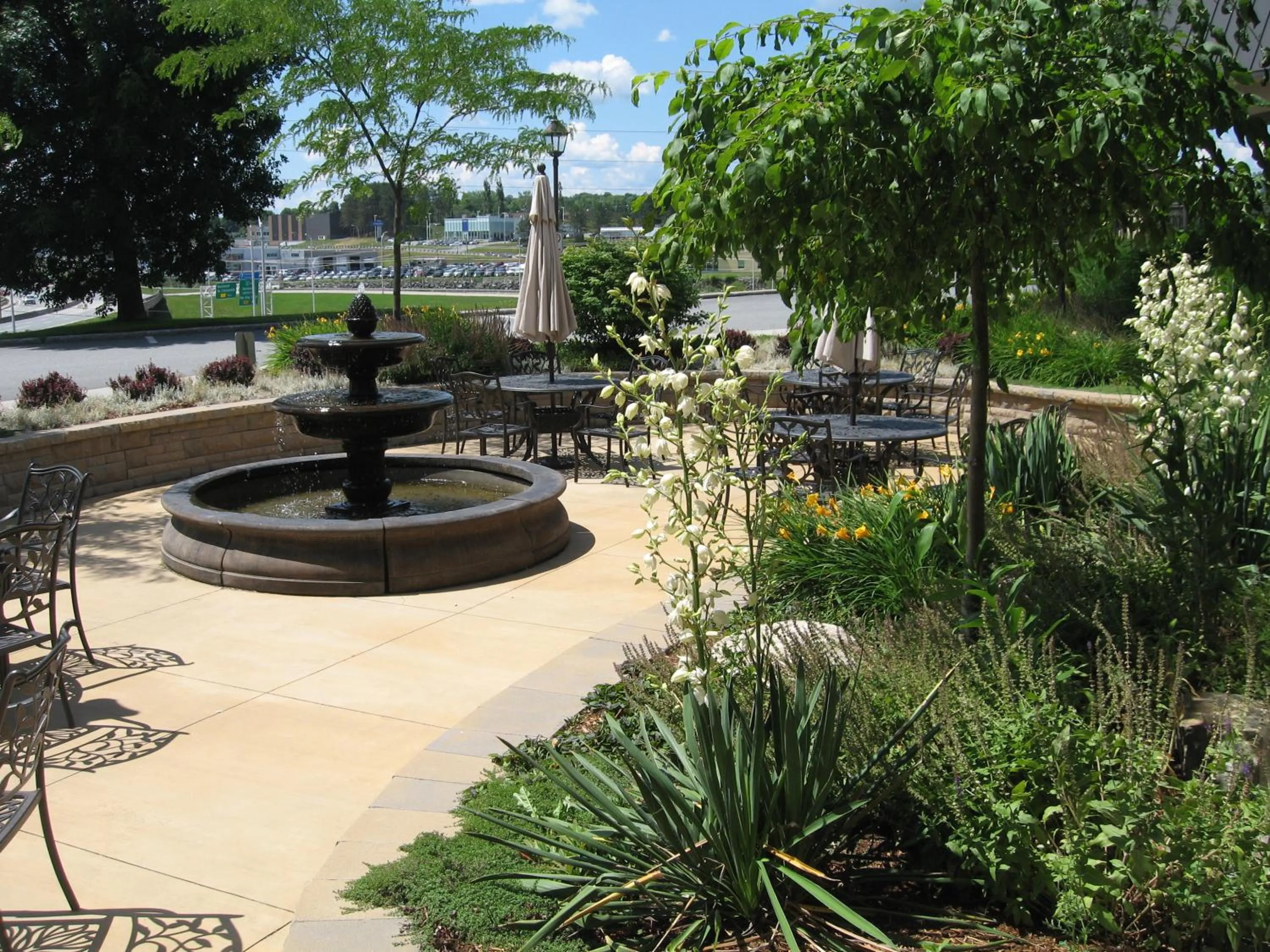 Garden in Le President Sherbrooke