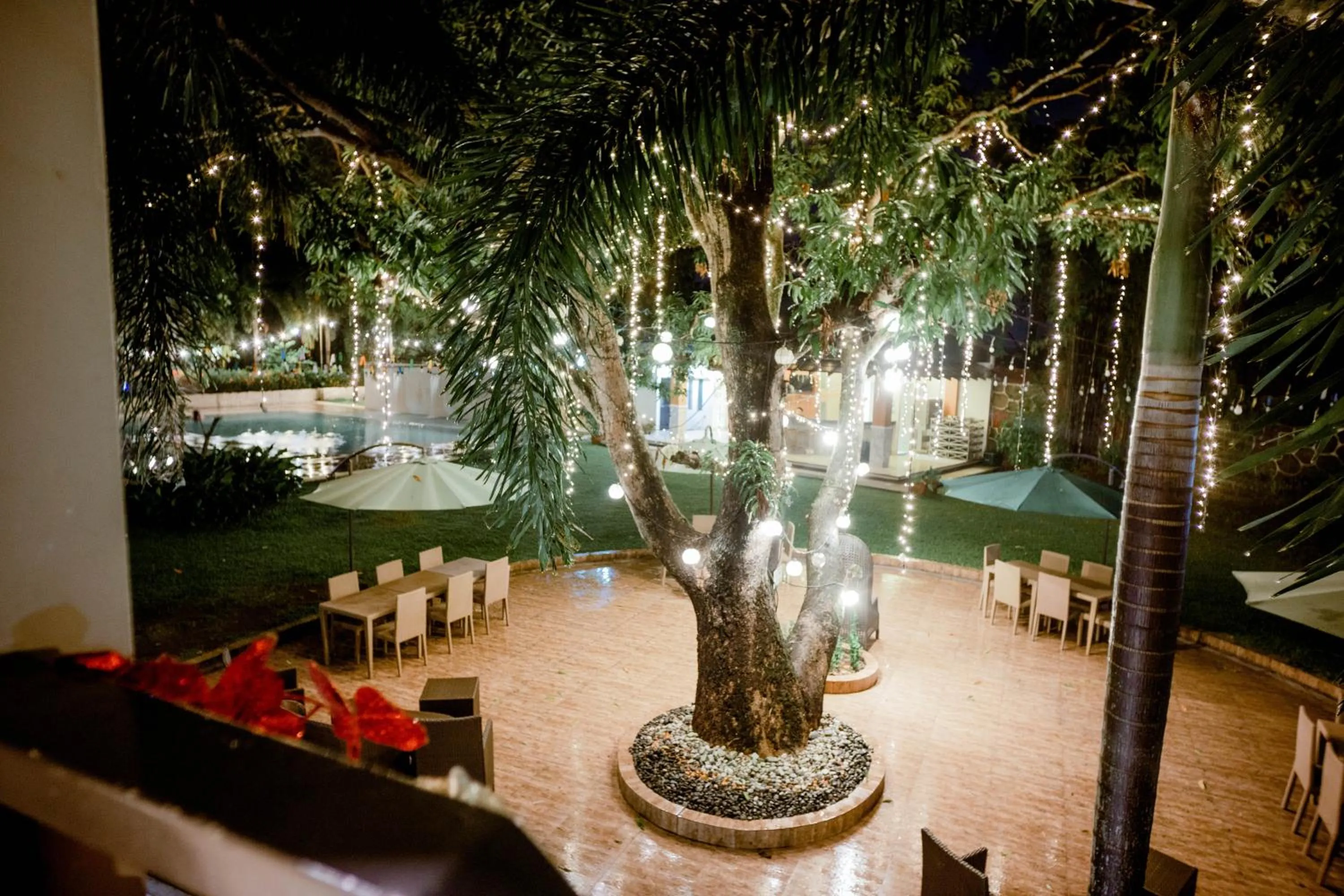 Night in Estancia De Lorenzo Tarlac