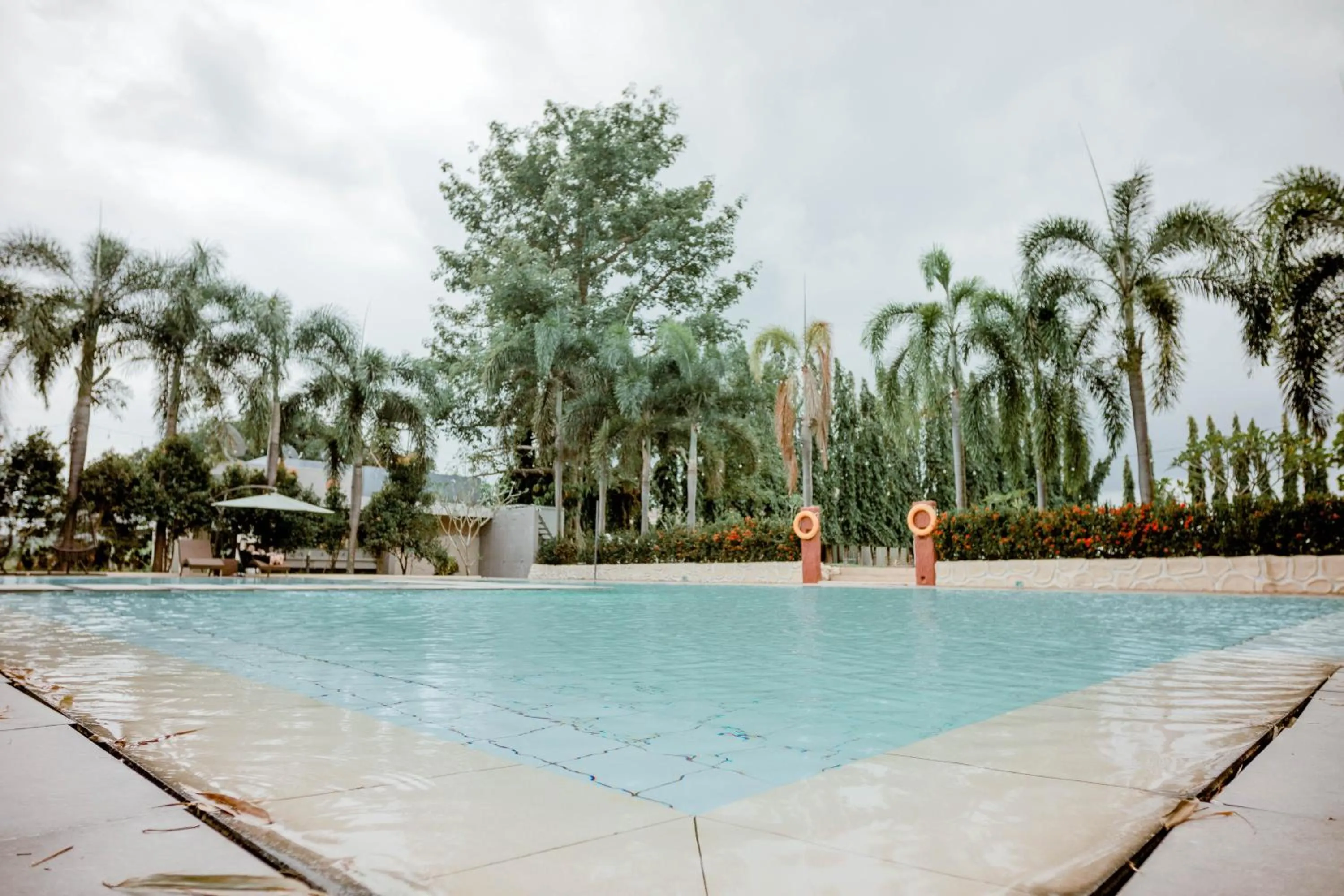 Day in Estancia De Lorenzo Tarlac