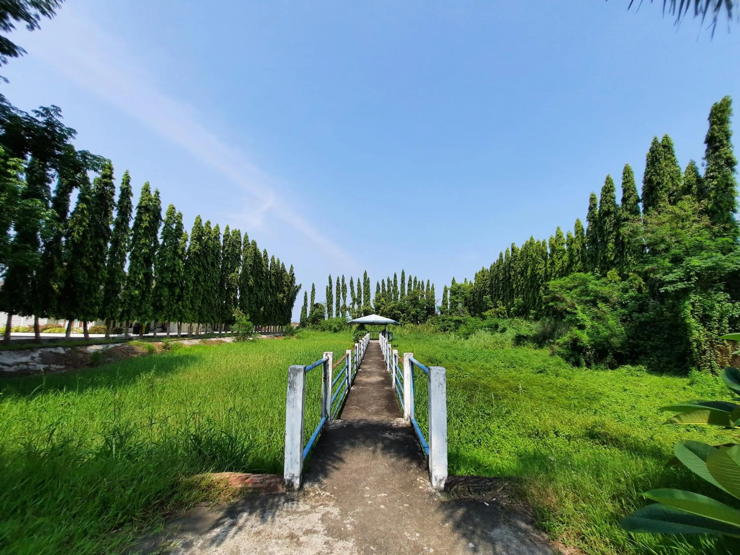 Natural landscape in Estancia De Lorenzo Tarlac