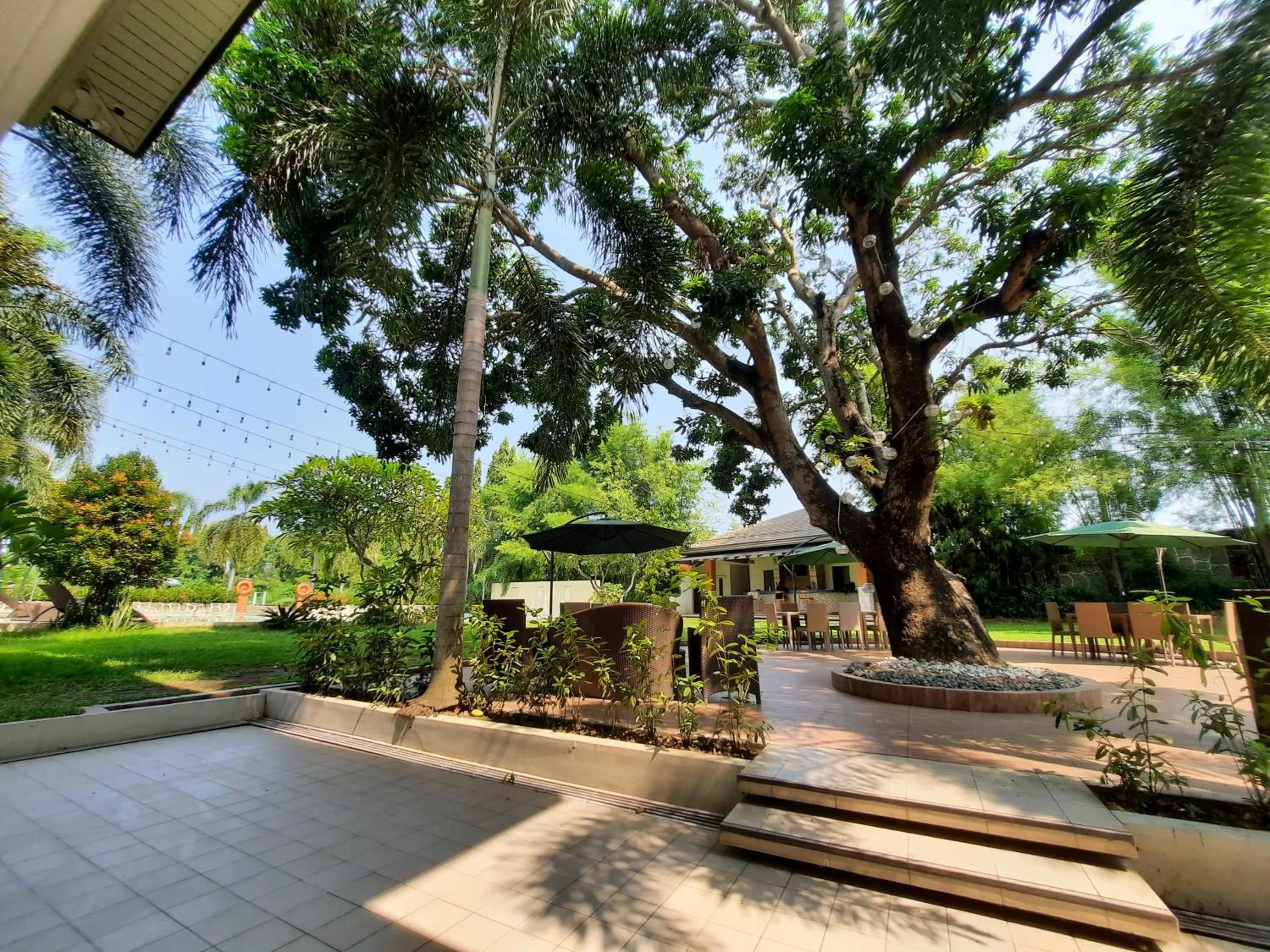 Garden in Estancia De Lorenzo Tarlac