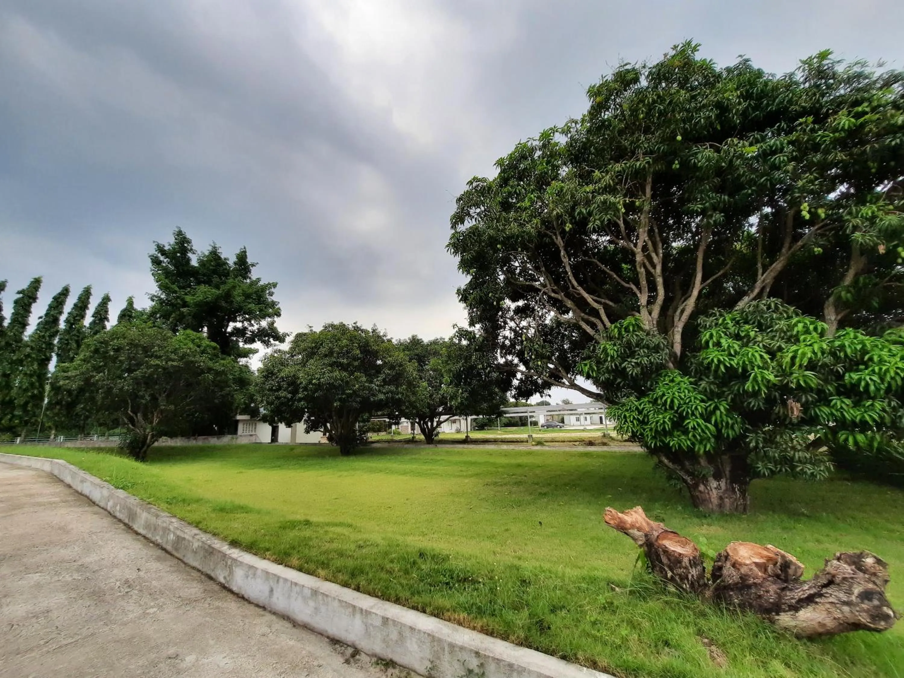 Natural landscape in Estancia De Lorenzo Tarlac