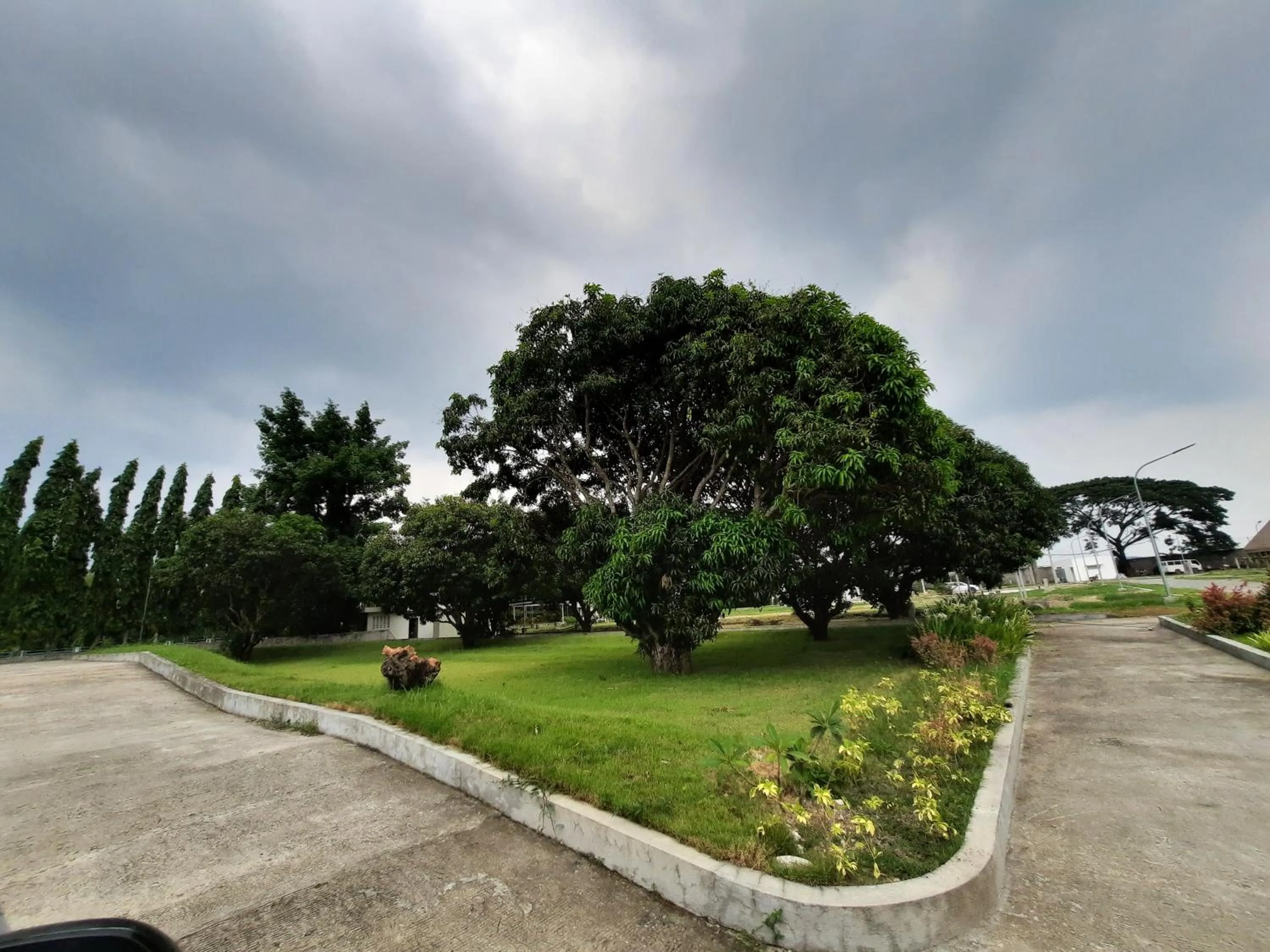 Garden in Estancia De Lorenzo Tarlac