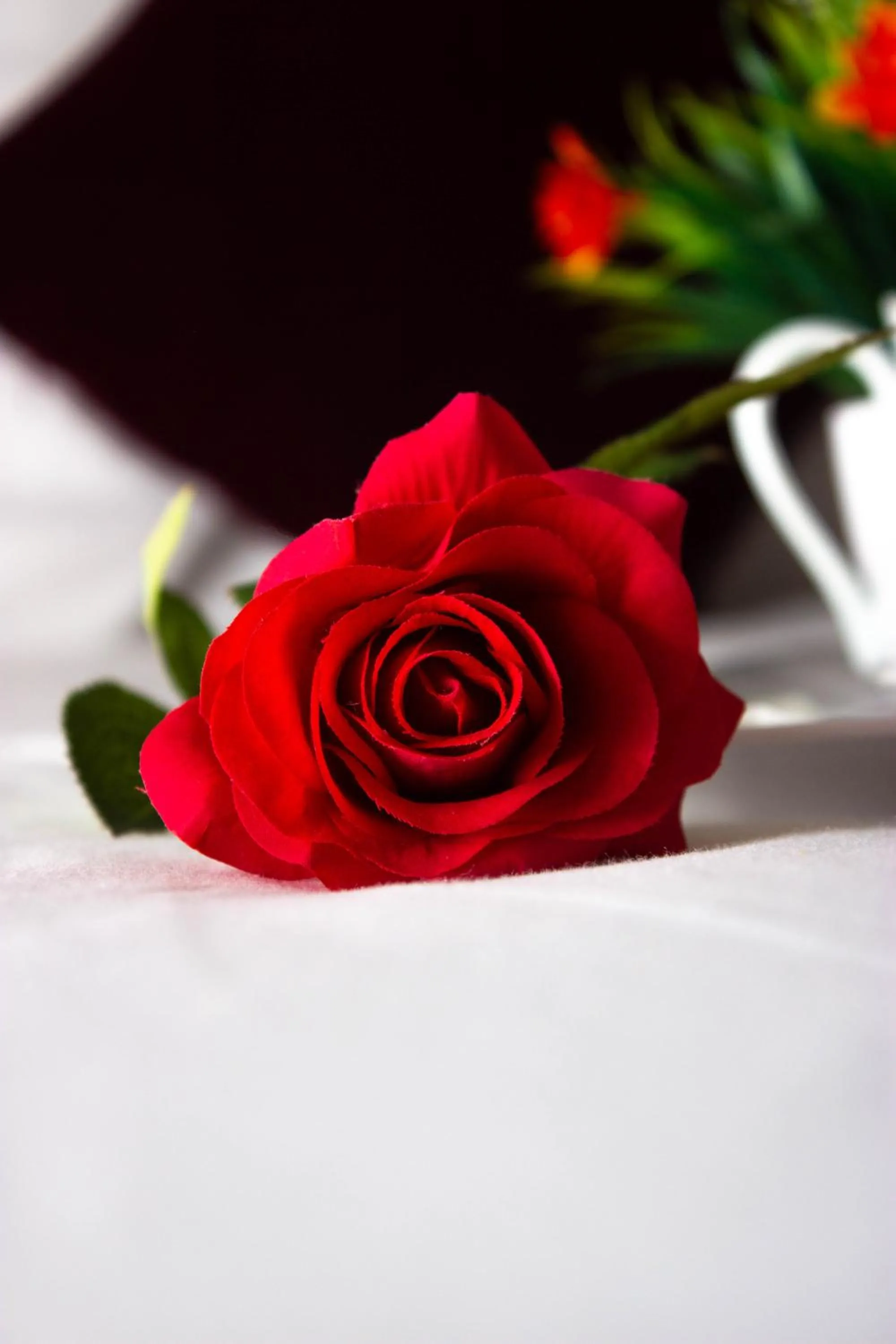 Decorative detail in Hotel Le Paris