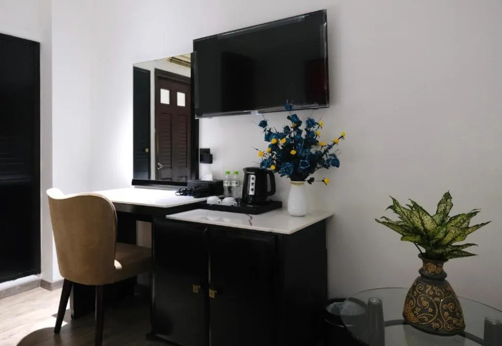 TV and multimedia in Nicecy Boutique Hotel