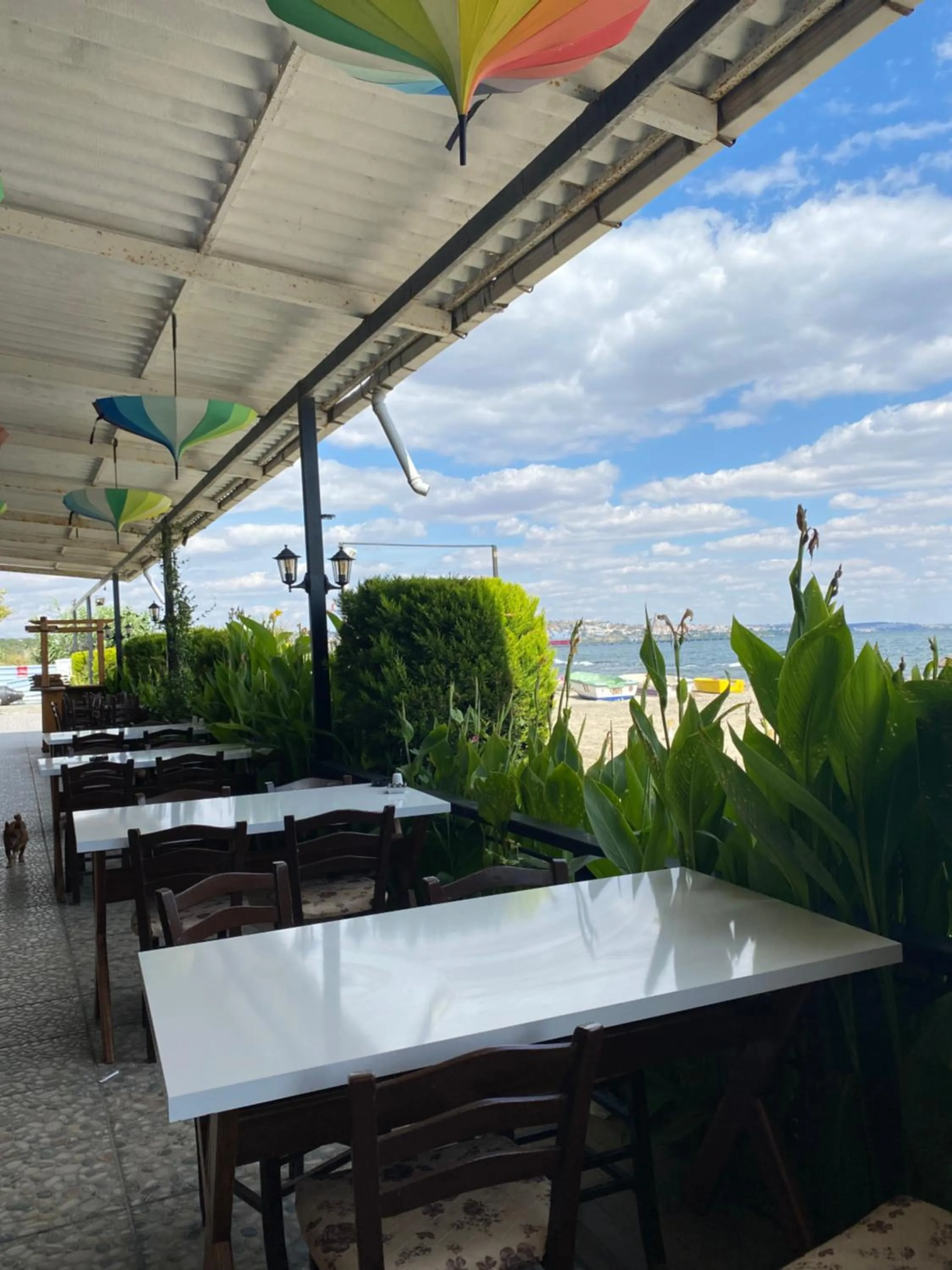 Garden in Odrys Beach Hotel & Resort