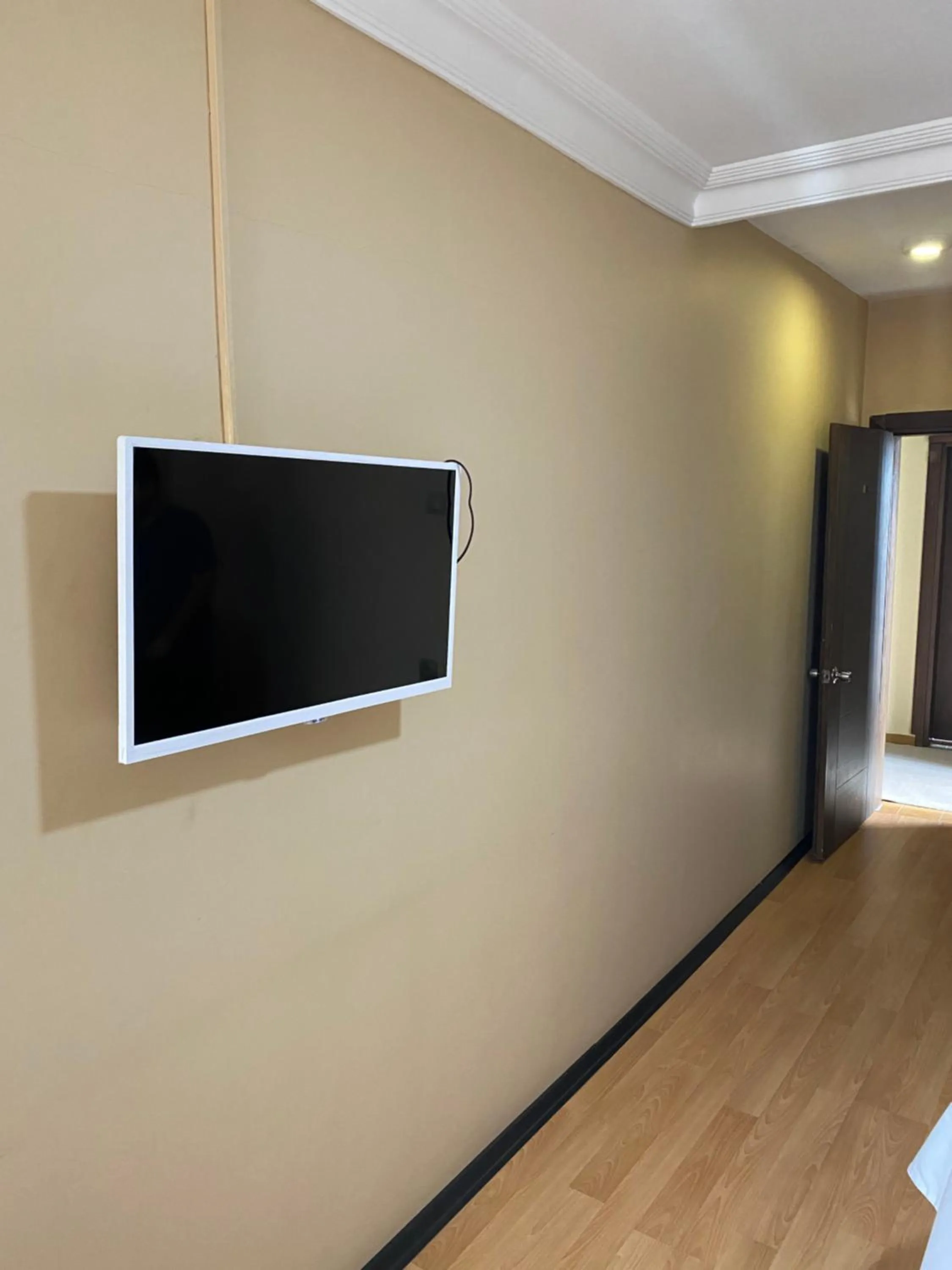 TV and multimedia in Odrys Beach Hotel & Resort