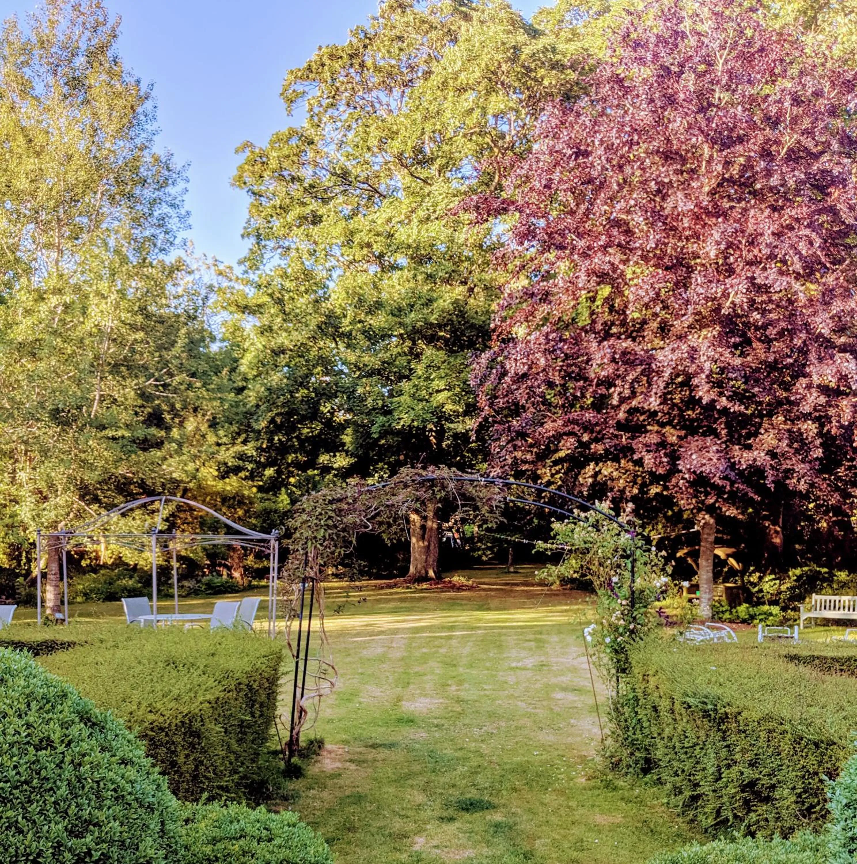 Garden in Marley House Bed and Breakfast