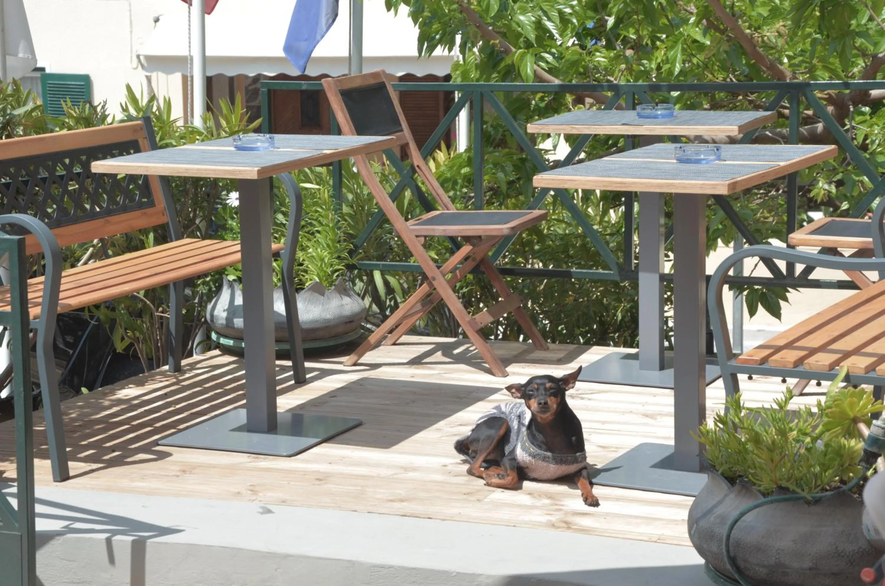 Patio in Kalimera Andros