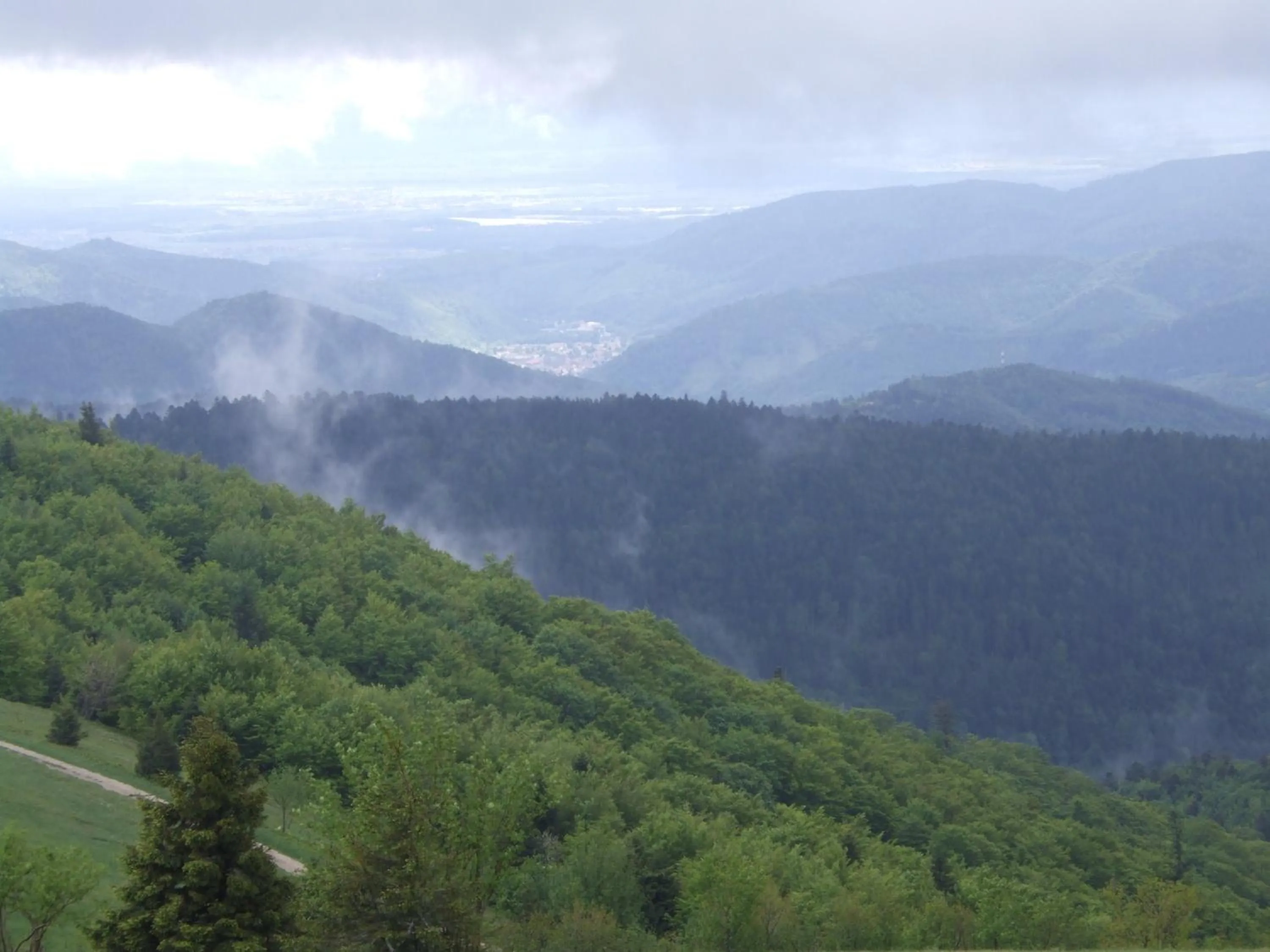 Area and facilities in Hôtel Restaurant Wolf