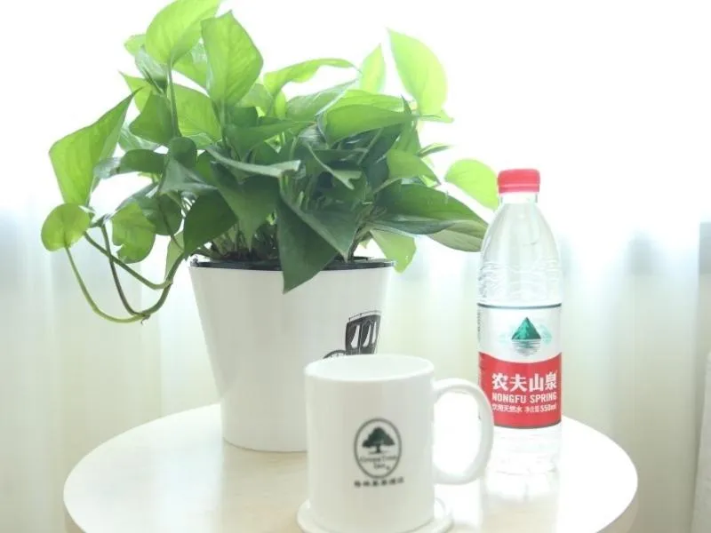 GreenTree Inn Beijing Chaoyang District Maquanying Subway Station Express Hotel