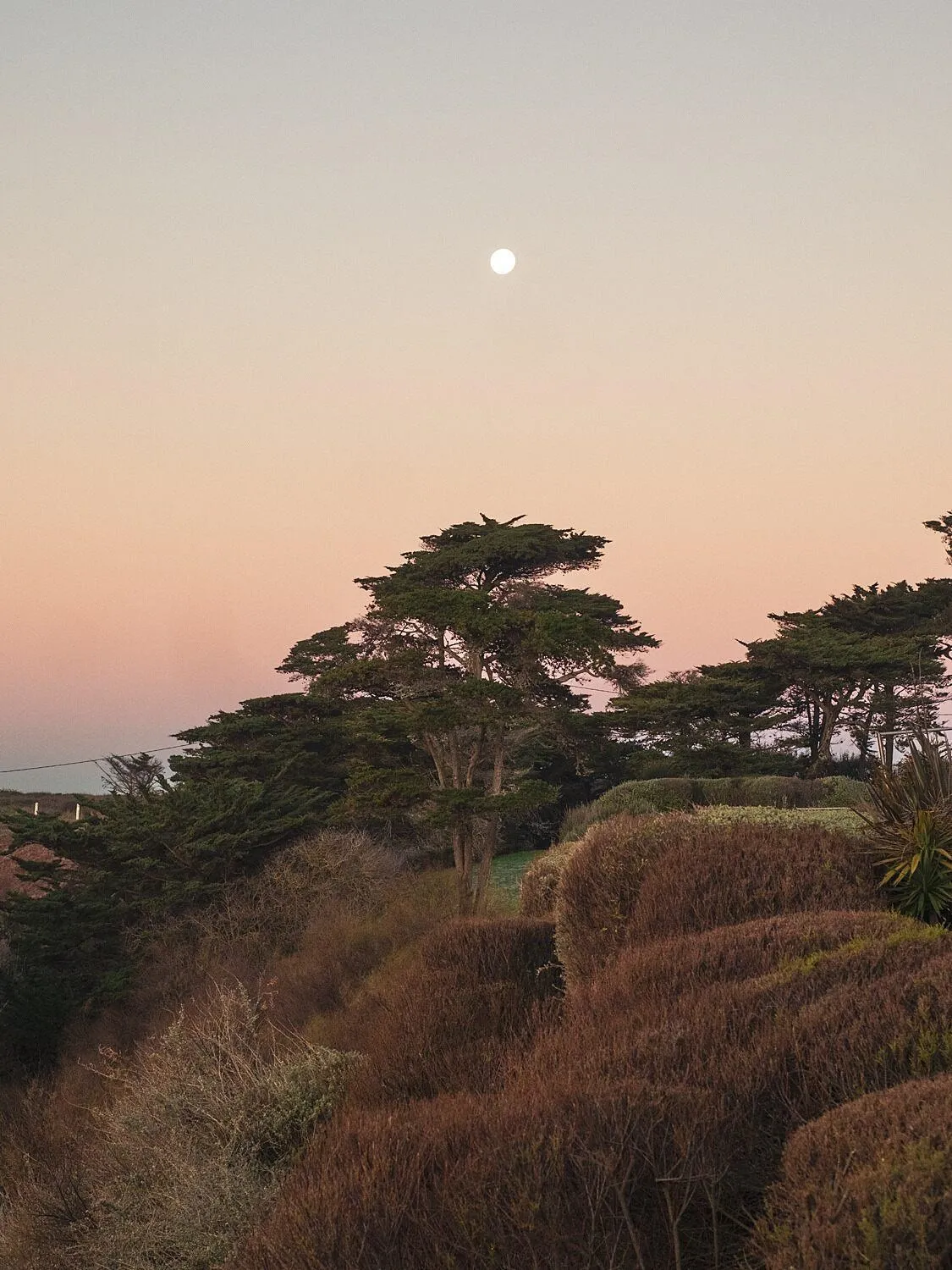 View (from property/room) in Castel Clara Thalasso & Spa