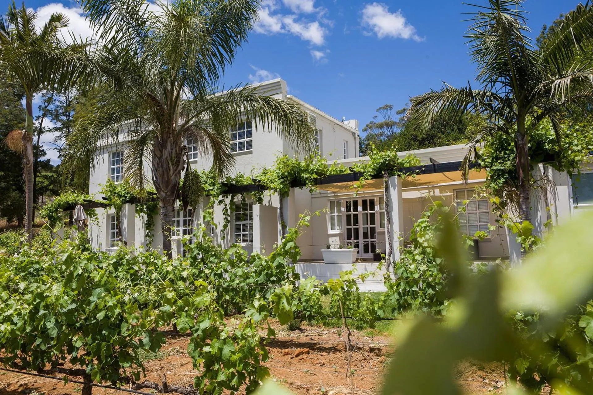 Facade/entrance in Kunjani Villas & Wines