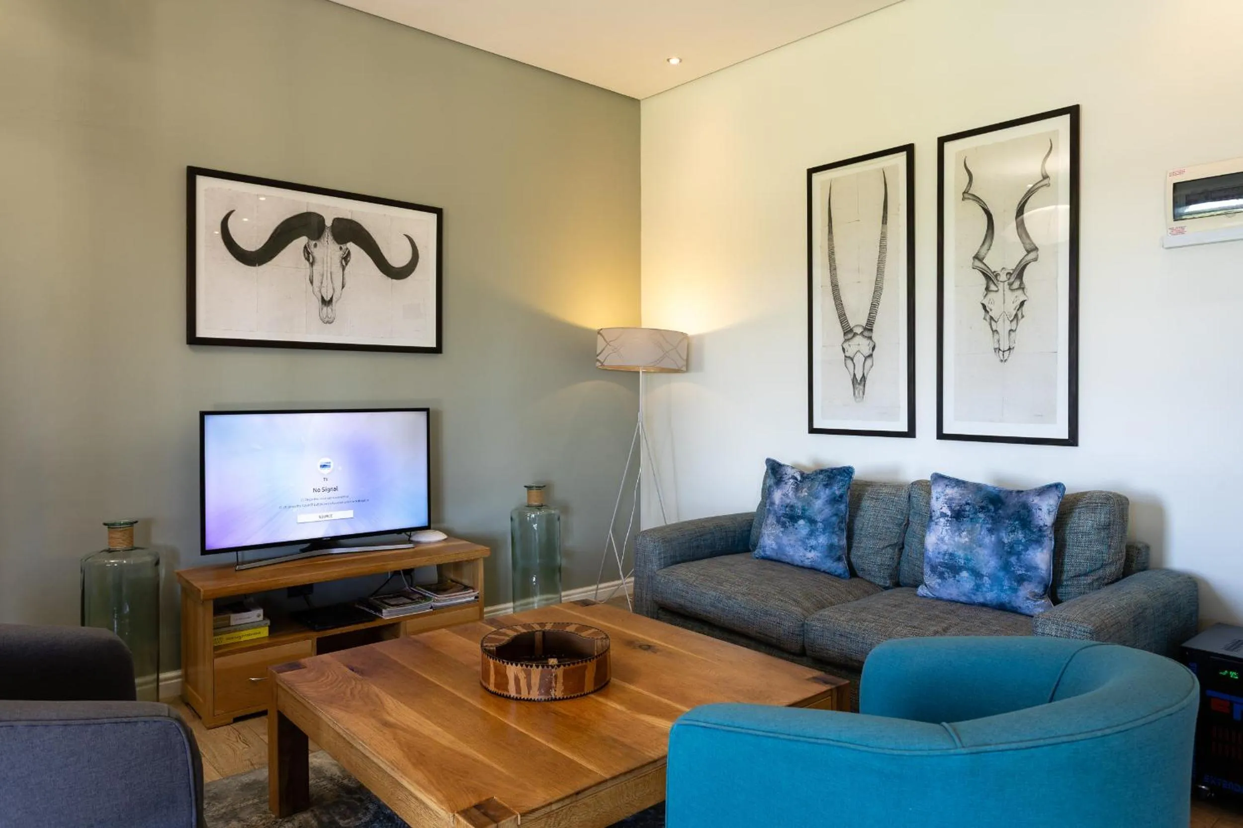 TV and multimedia in Kunjani Villas & Wines