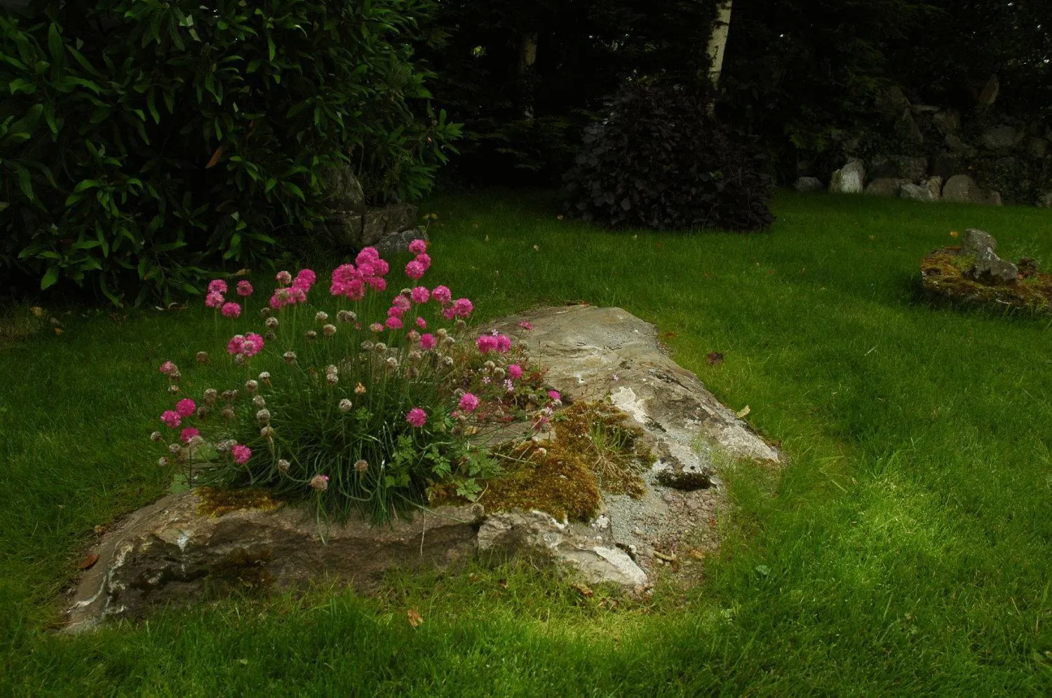 Garden in Kenmare House