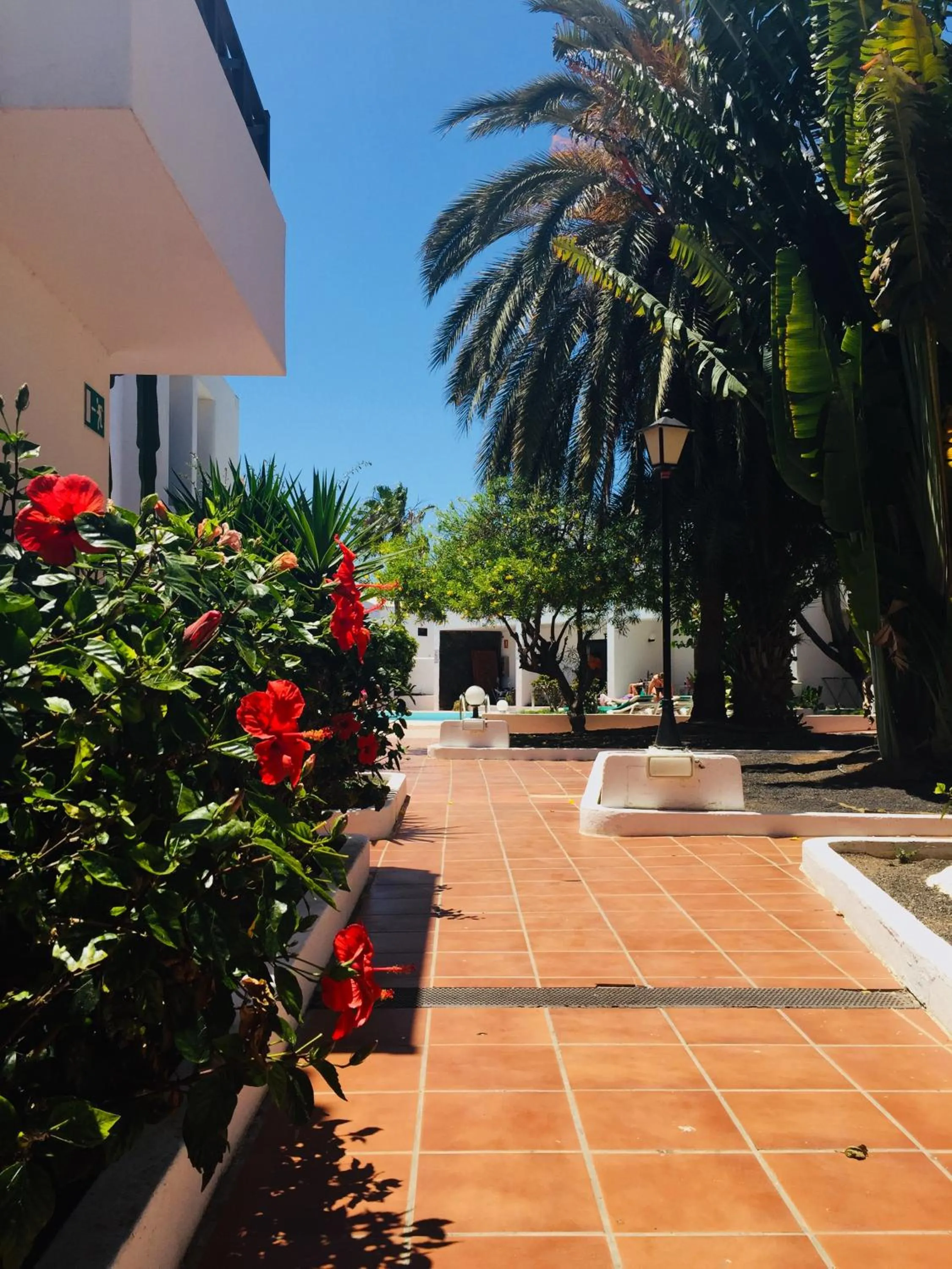 Garden view in Apartamentos Maribel