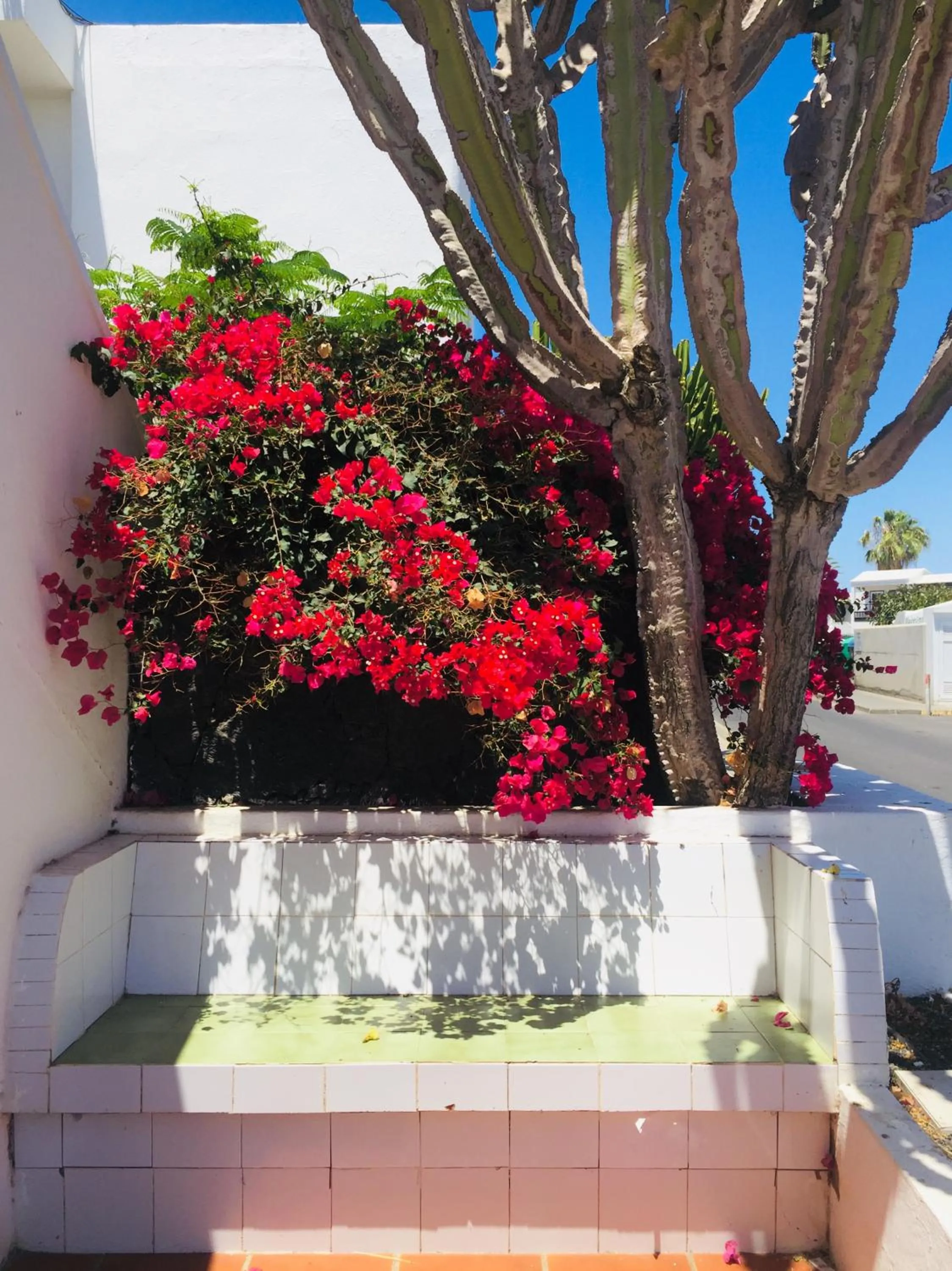 Facade/entrance in Apartamentos Maribel