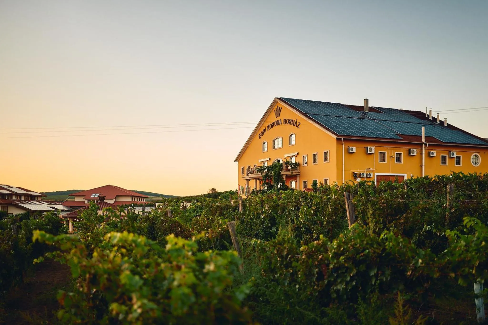 Egri Korona Borház és Wellness Hotel