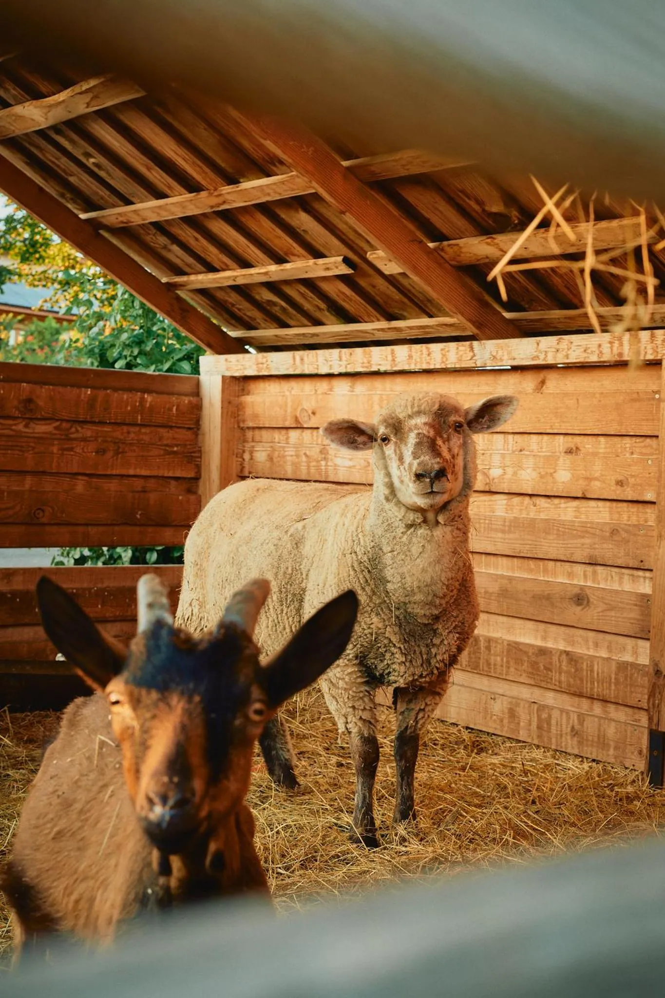 Egri Korona Borház és Wellness Hotel