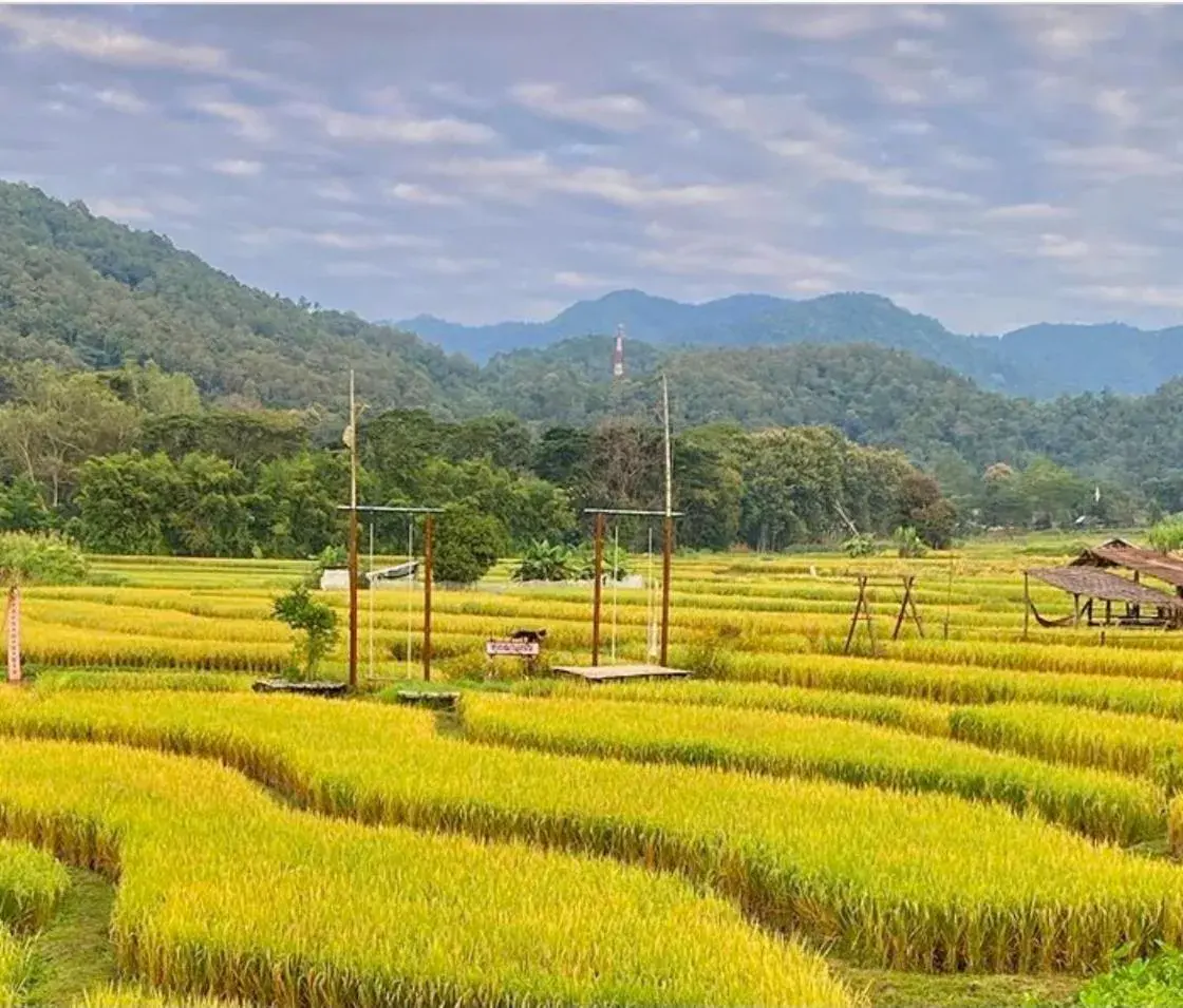 Bulunburi Resort Bulunburi Resort