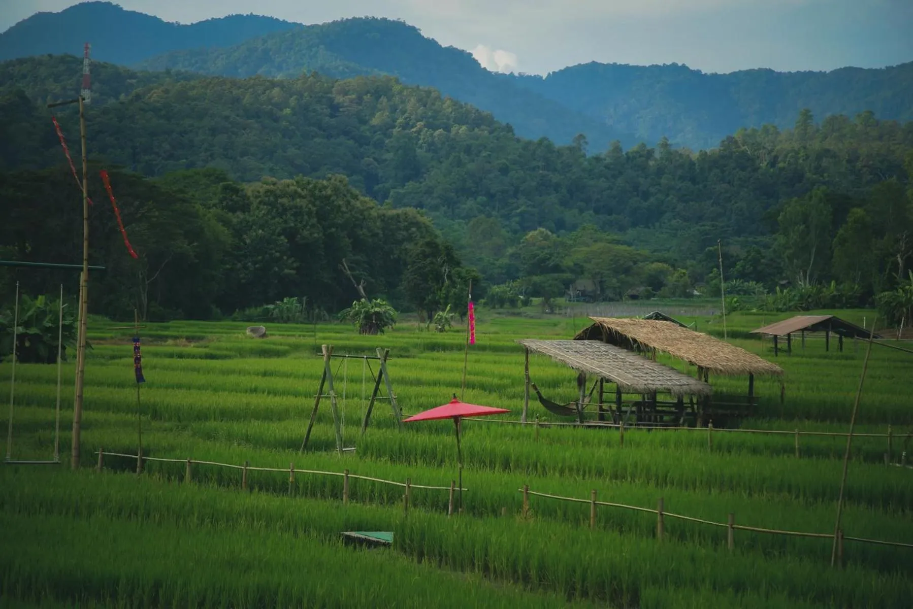 Garden in Bulunburi Resort