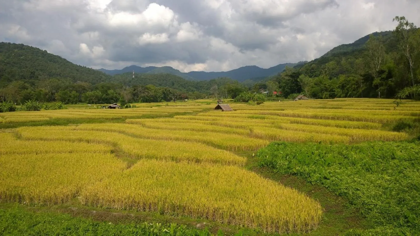 Natural landscape in Bulunburi Resort
